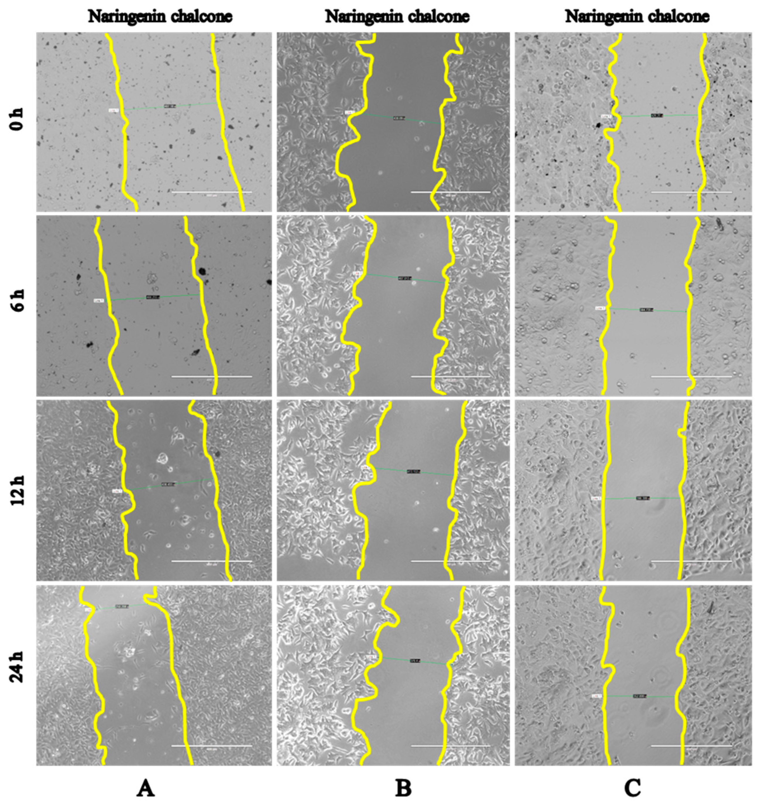 Molecules 22 01626 g005 Molecules 22 01626 g005