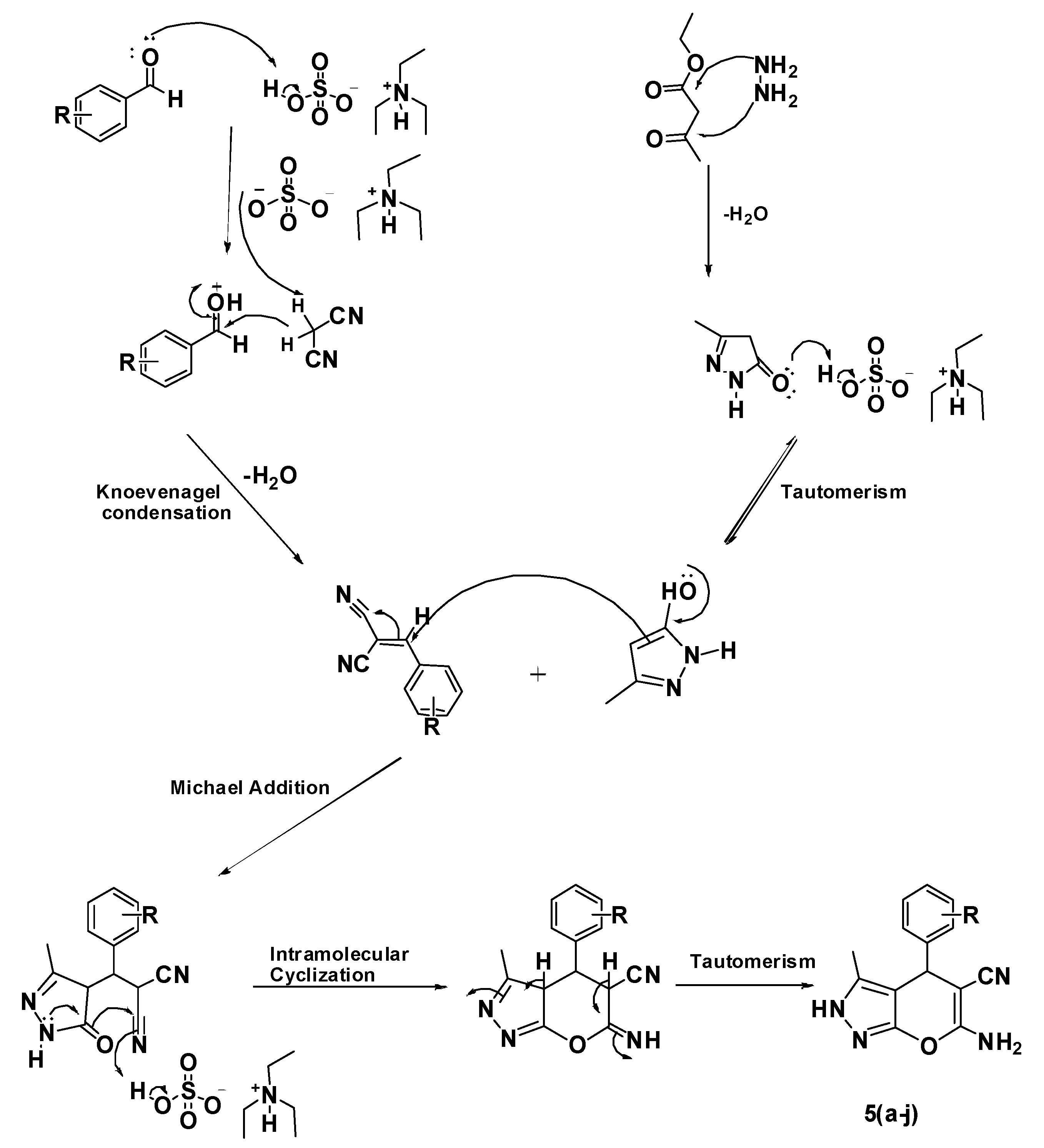 Molecules 22 01628 g002