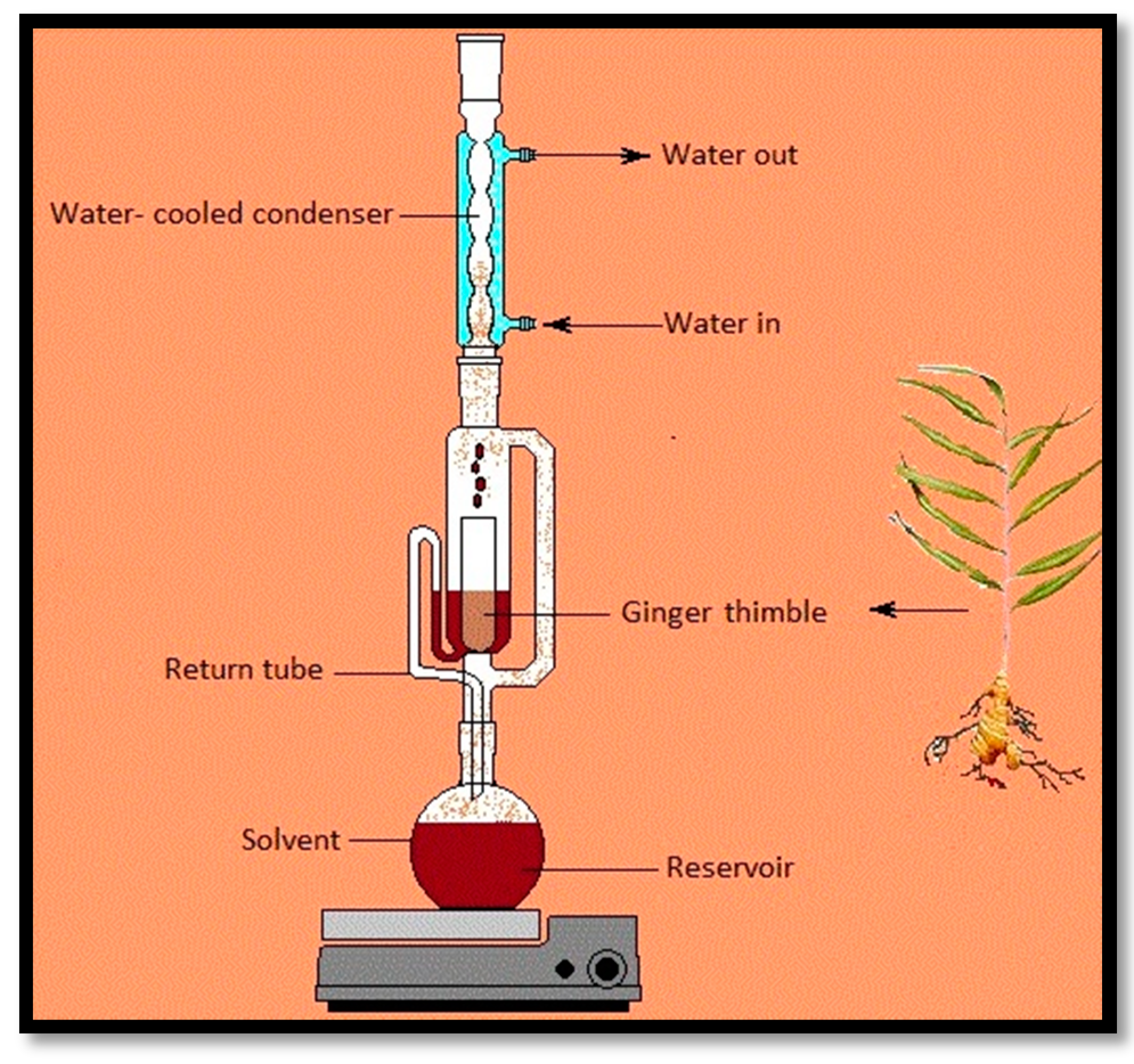 Molecules 22 01645 g005 Molecules 22 01645 g005
