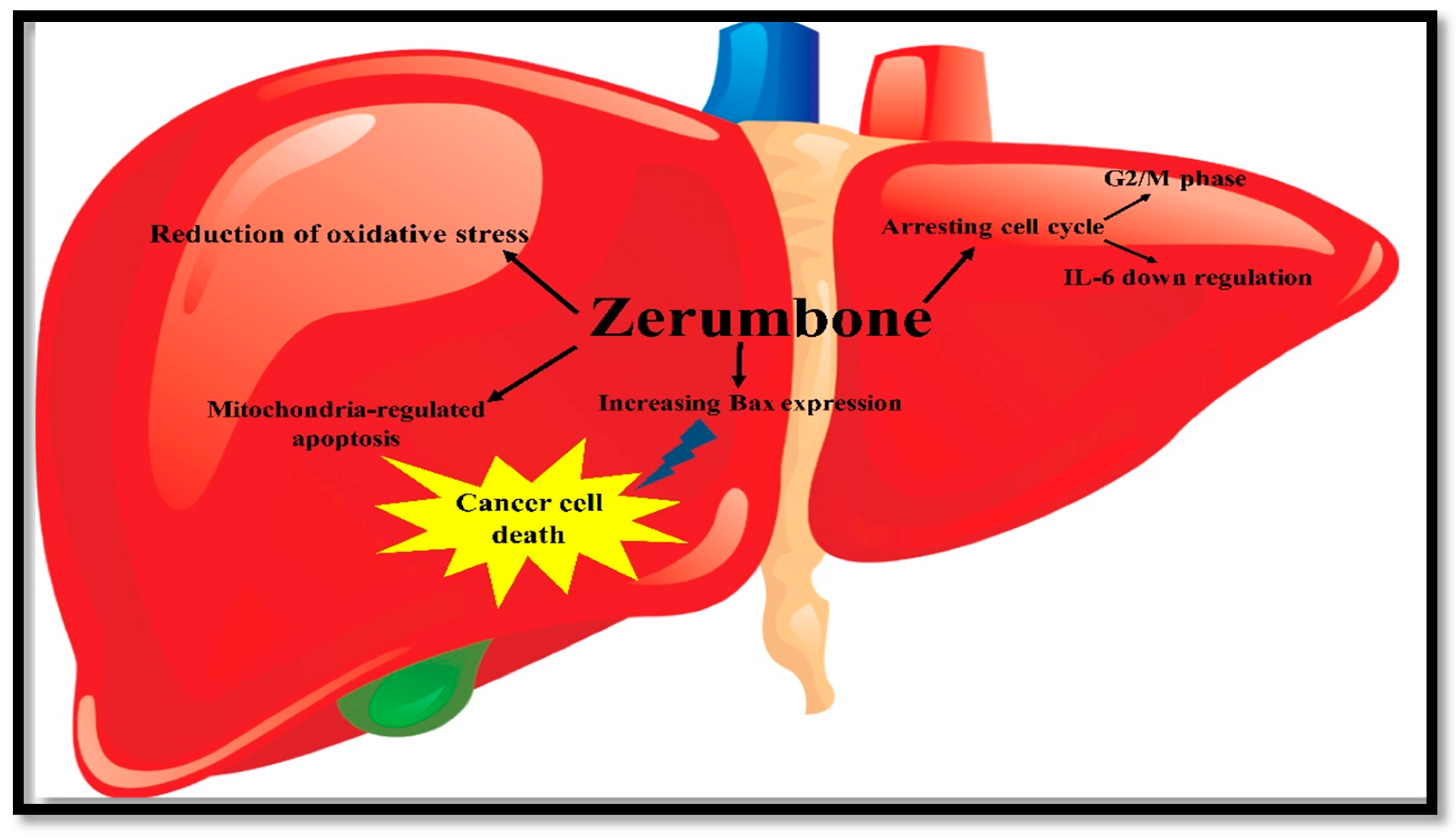 Molecules 22 01645 g007 Molecules 22 01645 g007