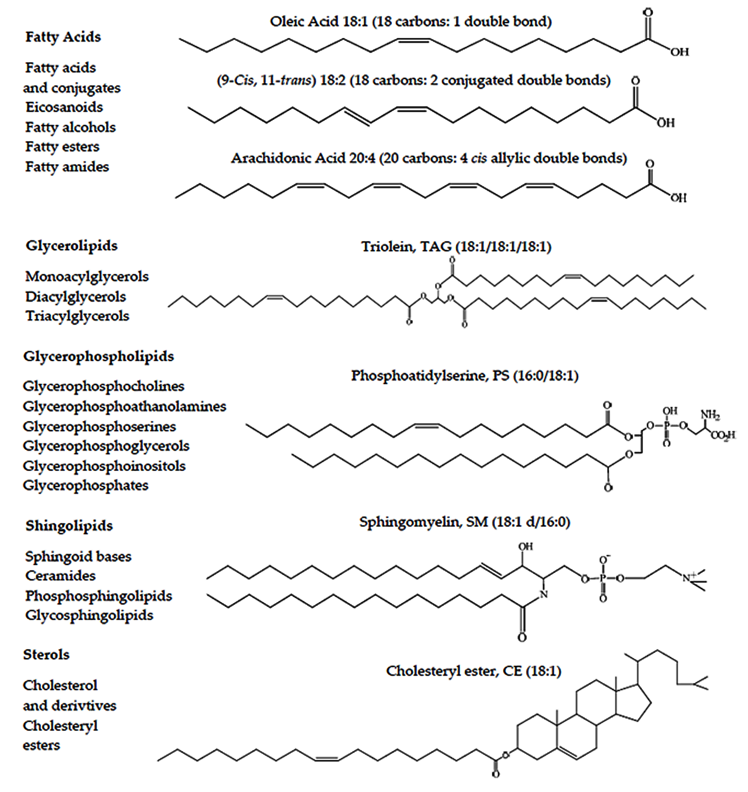 Molecules 22 01663 g001