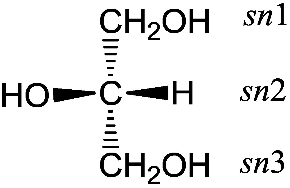 Molecules 22 01663 g002