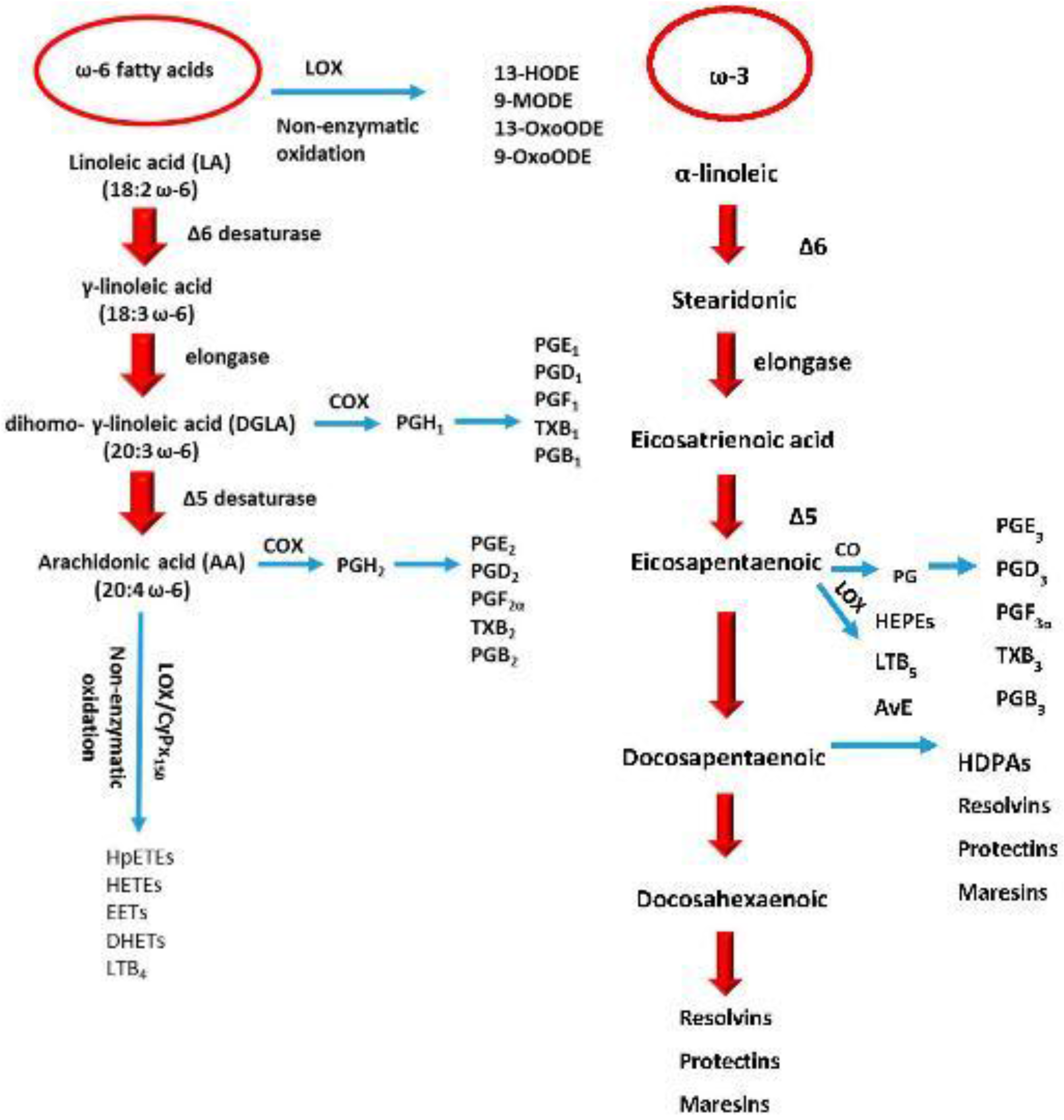 Molecules 22 01663 g003
