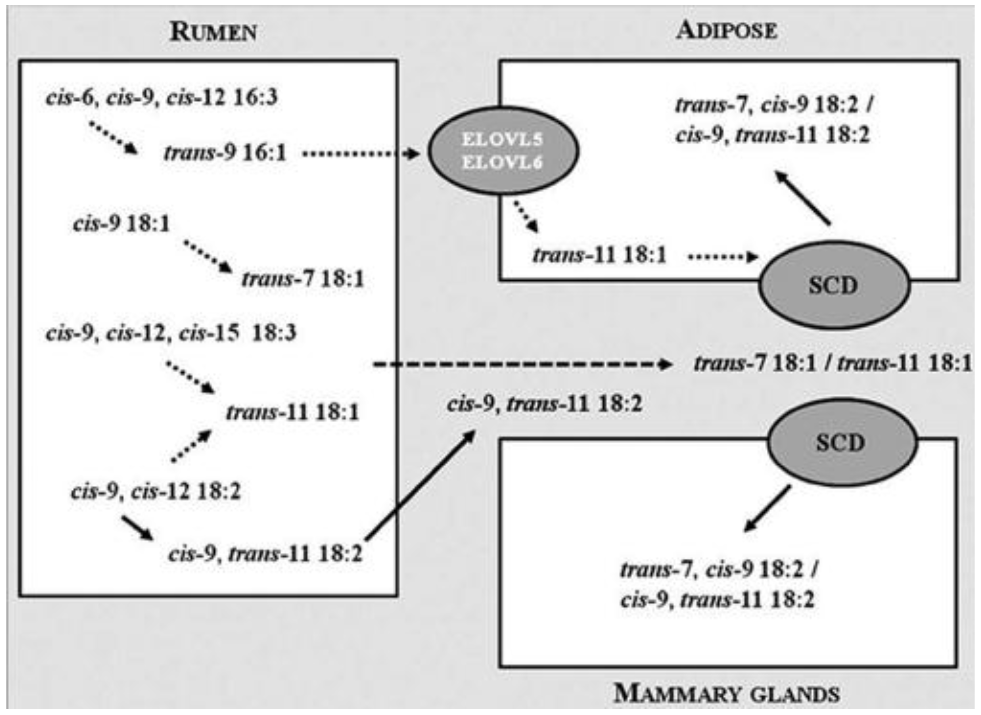 Molecules 22 01663 g004