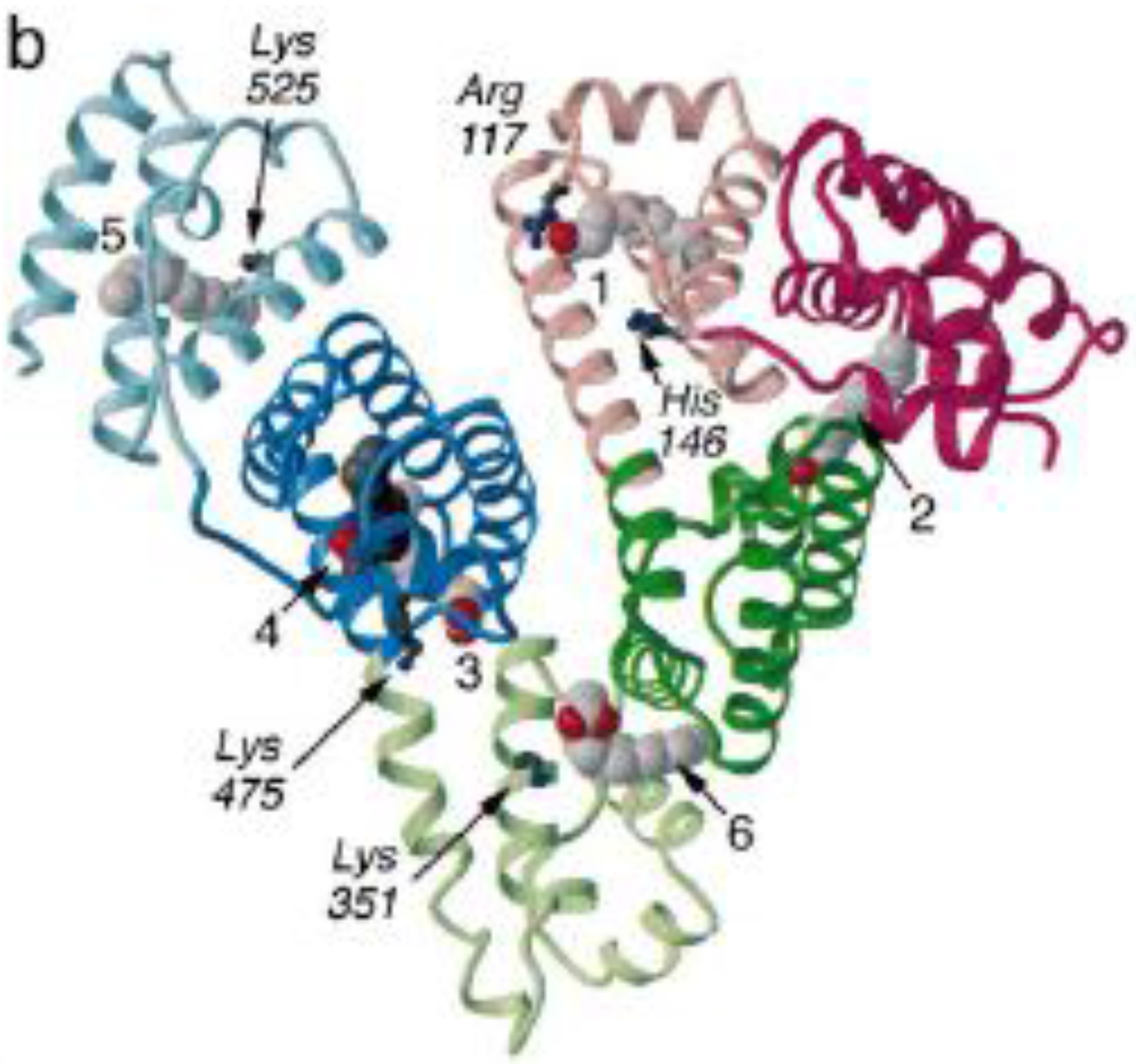 Molecules 22 01663 g042b