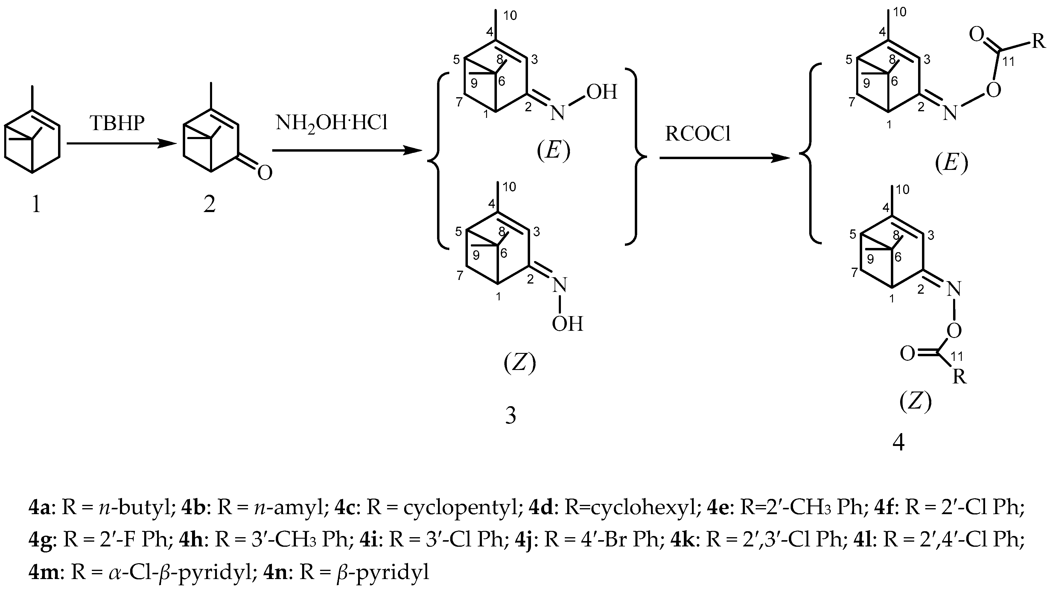 Molecules 22 01678 sch001