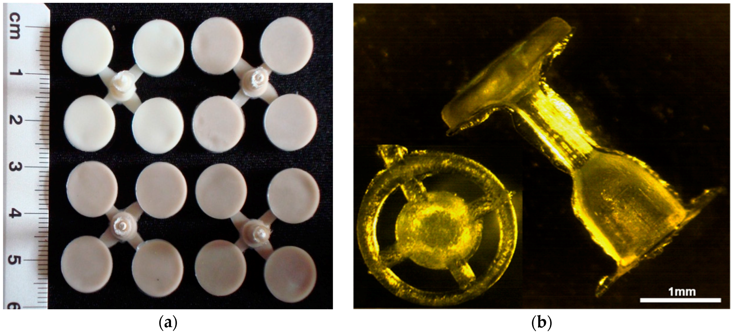 Molecules 22 01681 g007