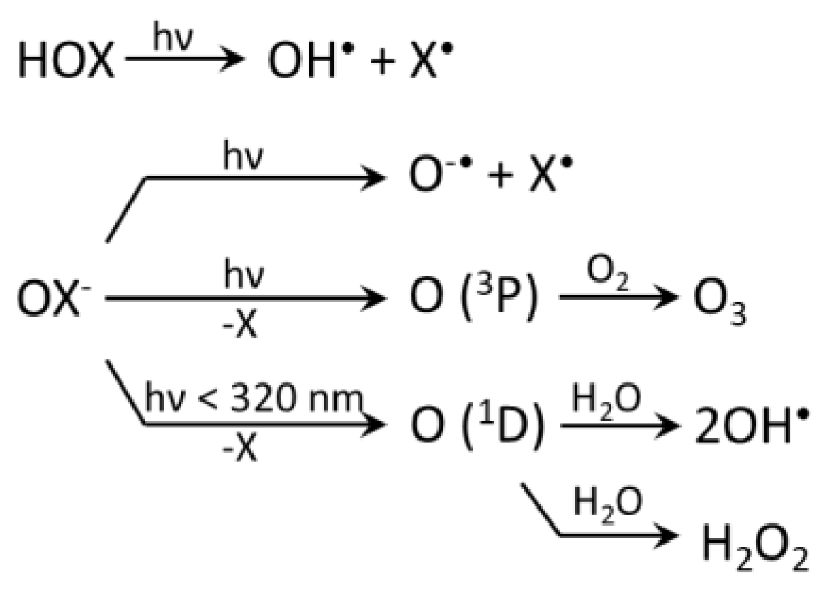 Molecules 22 01684 sch003 Molecules 22 01684 sch003