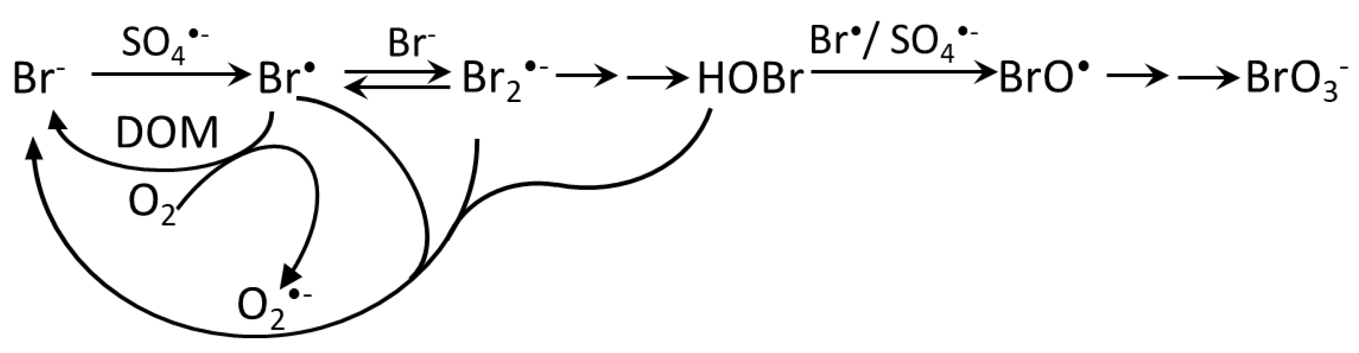 Molecules 22 01684 sch005 Molecules 22 01684 sch005