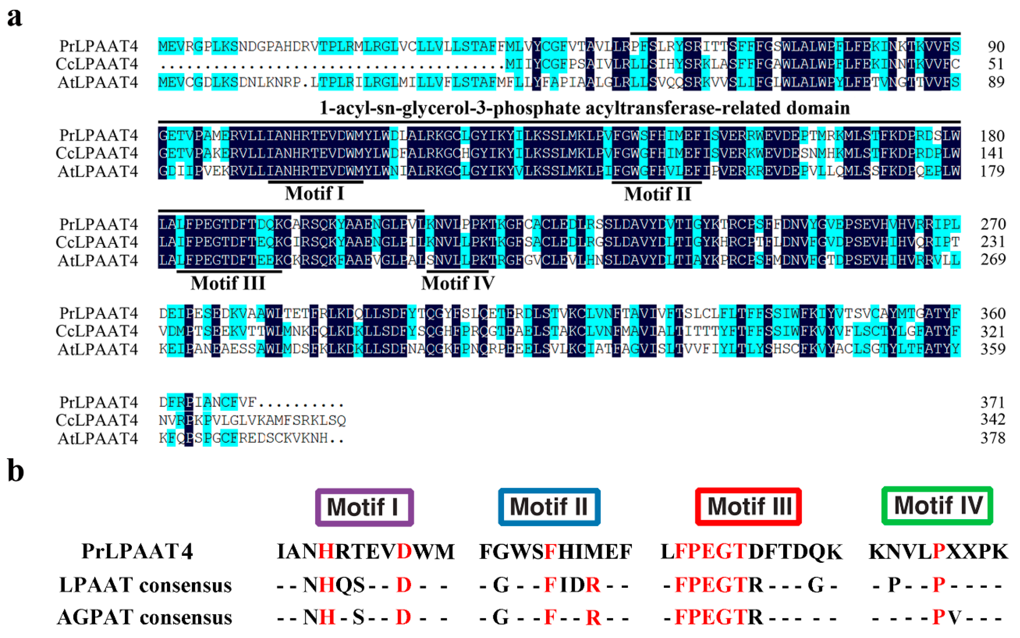 Molecules 22 01694 g001