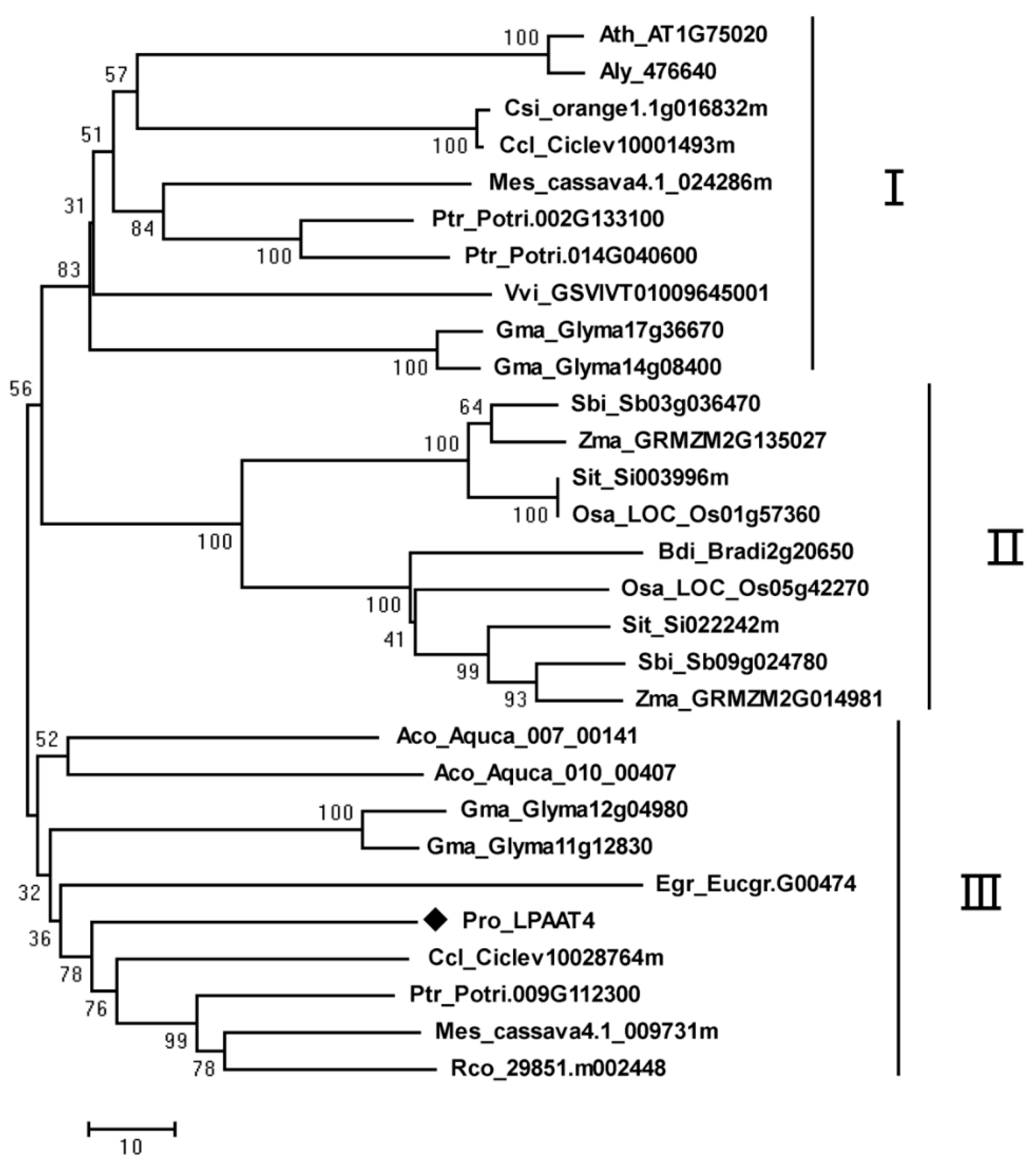 Molecules 22 01694 g003