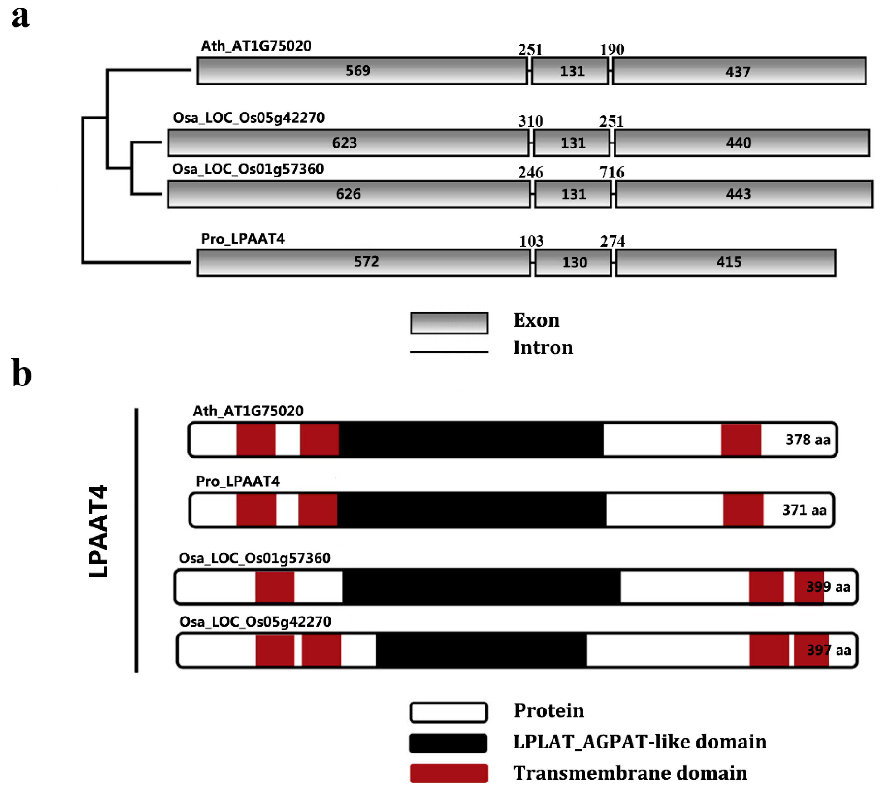 Molecules 22 01694 g004