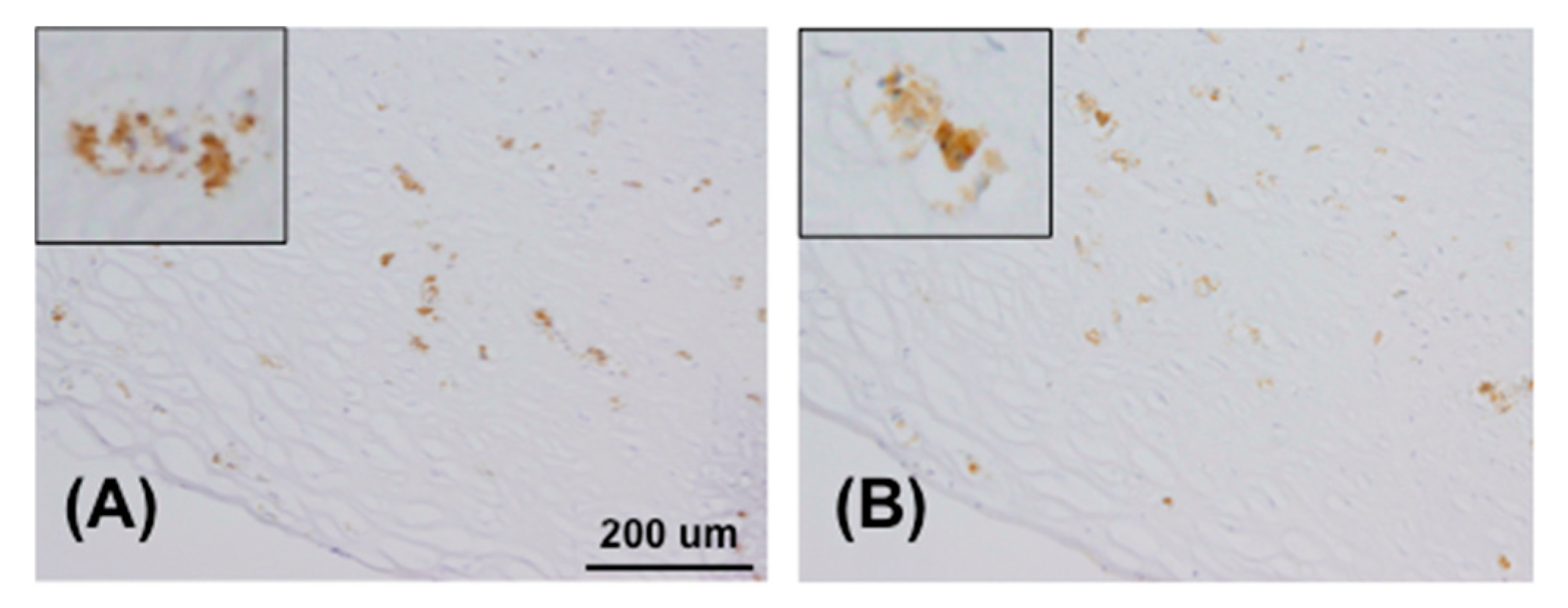 Molecules 22 01695 g004