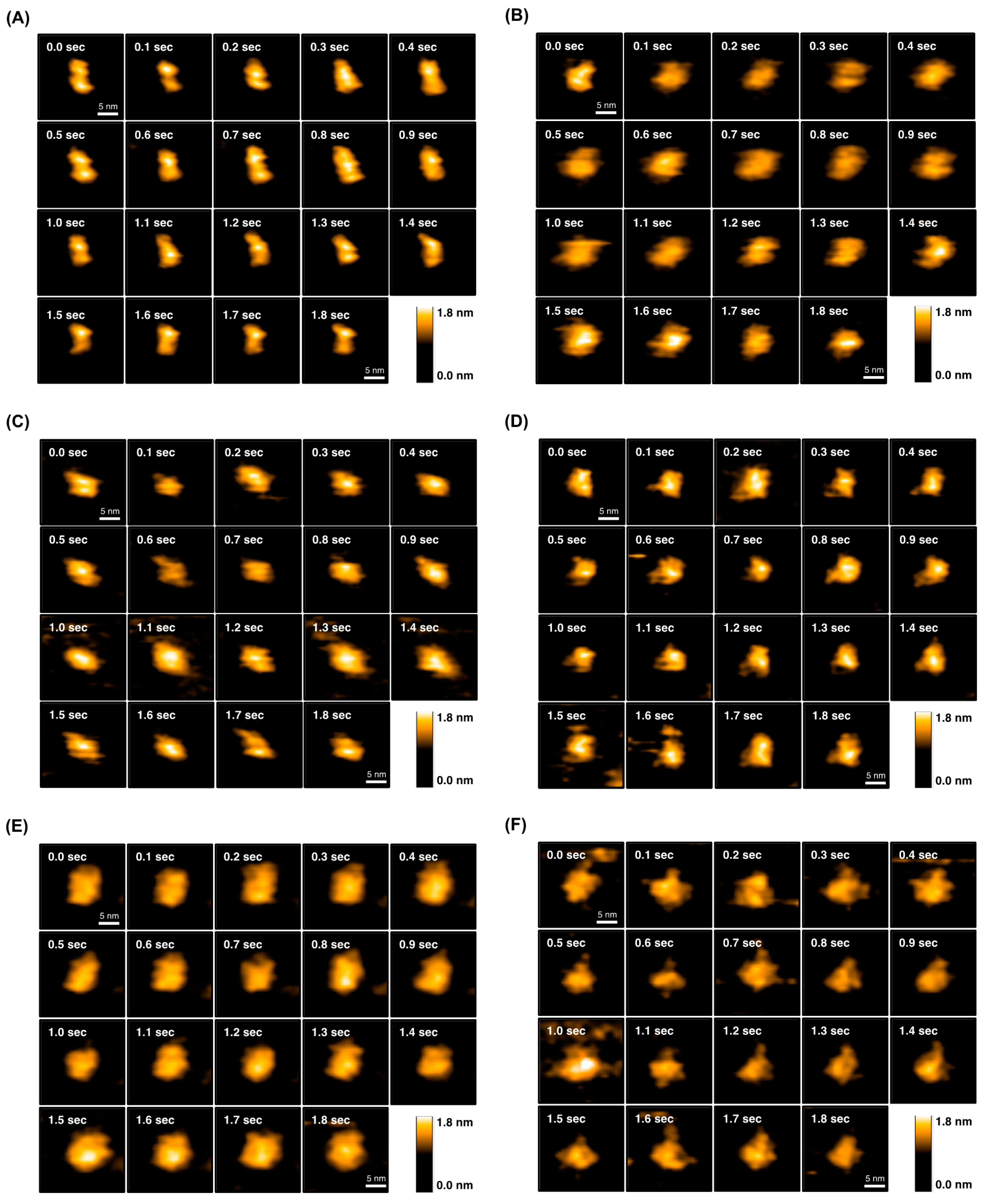 Molecules 22 01695 g007