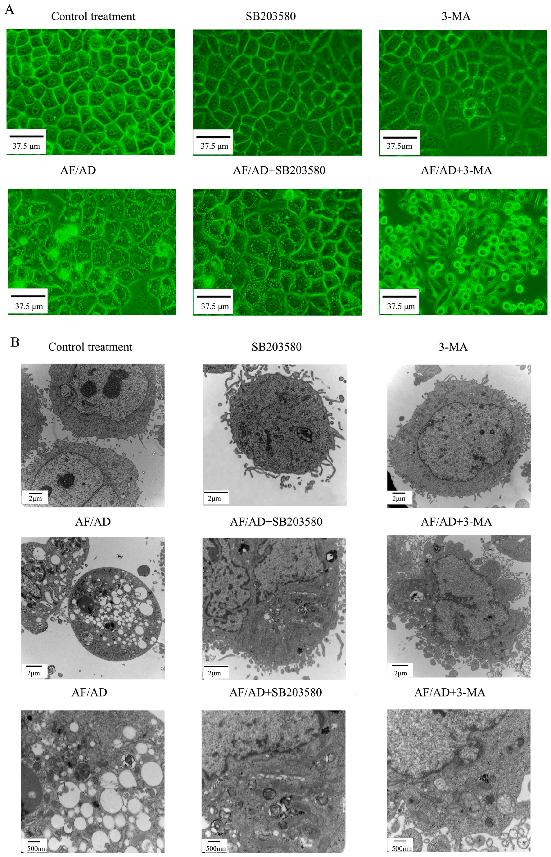 Molecules 22 01705 g001