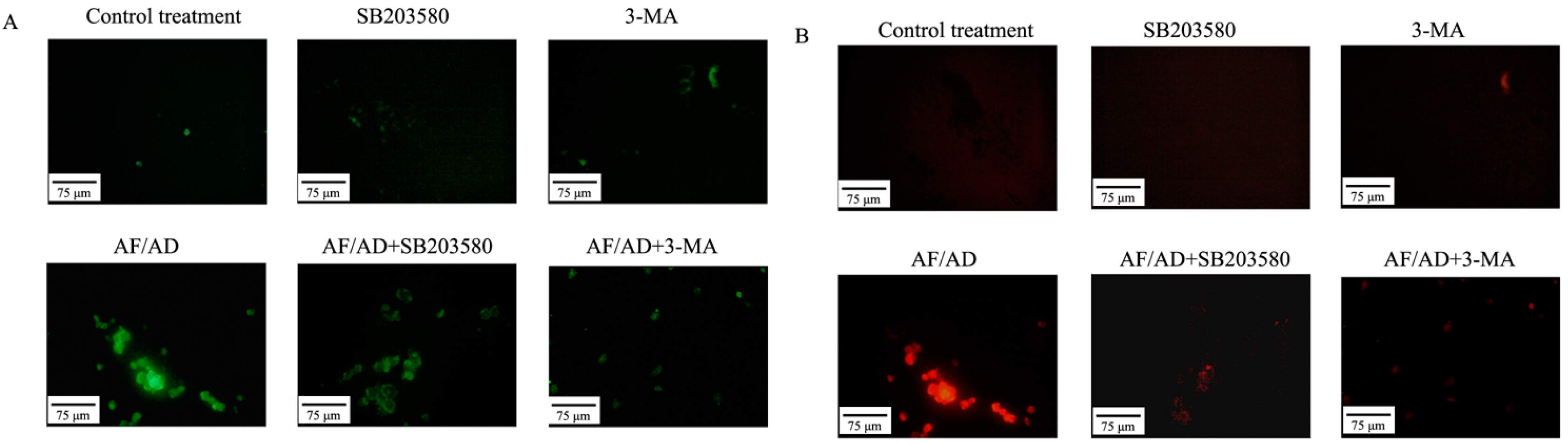 Molecules 22 01705 g004