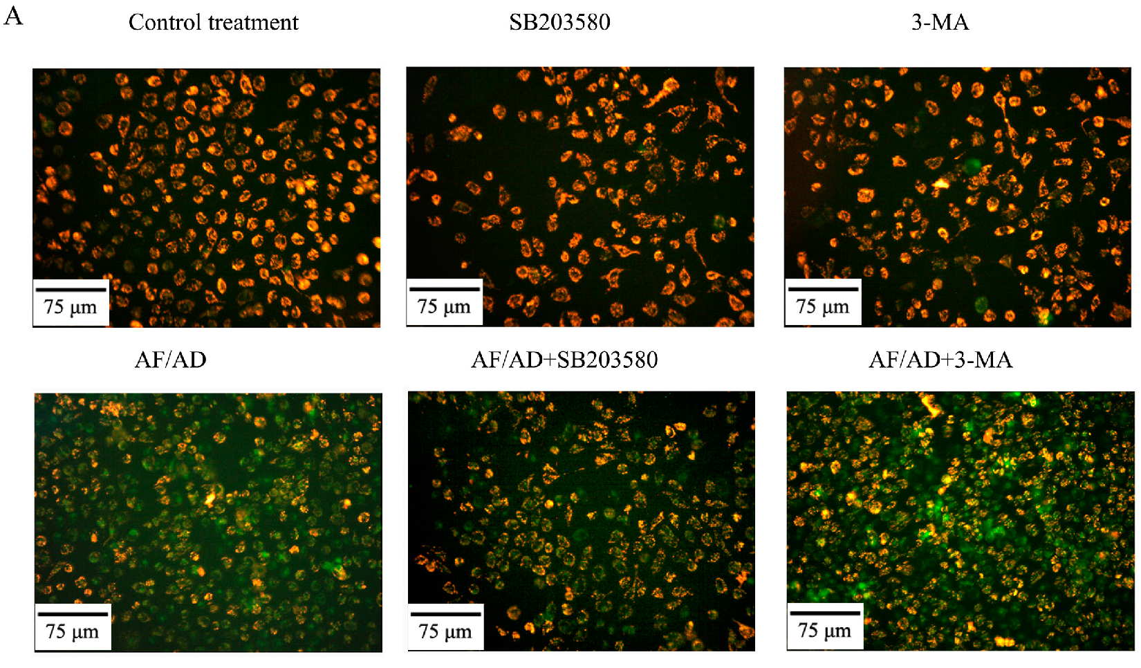 Molecules 22 01705 g005a