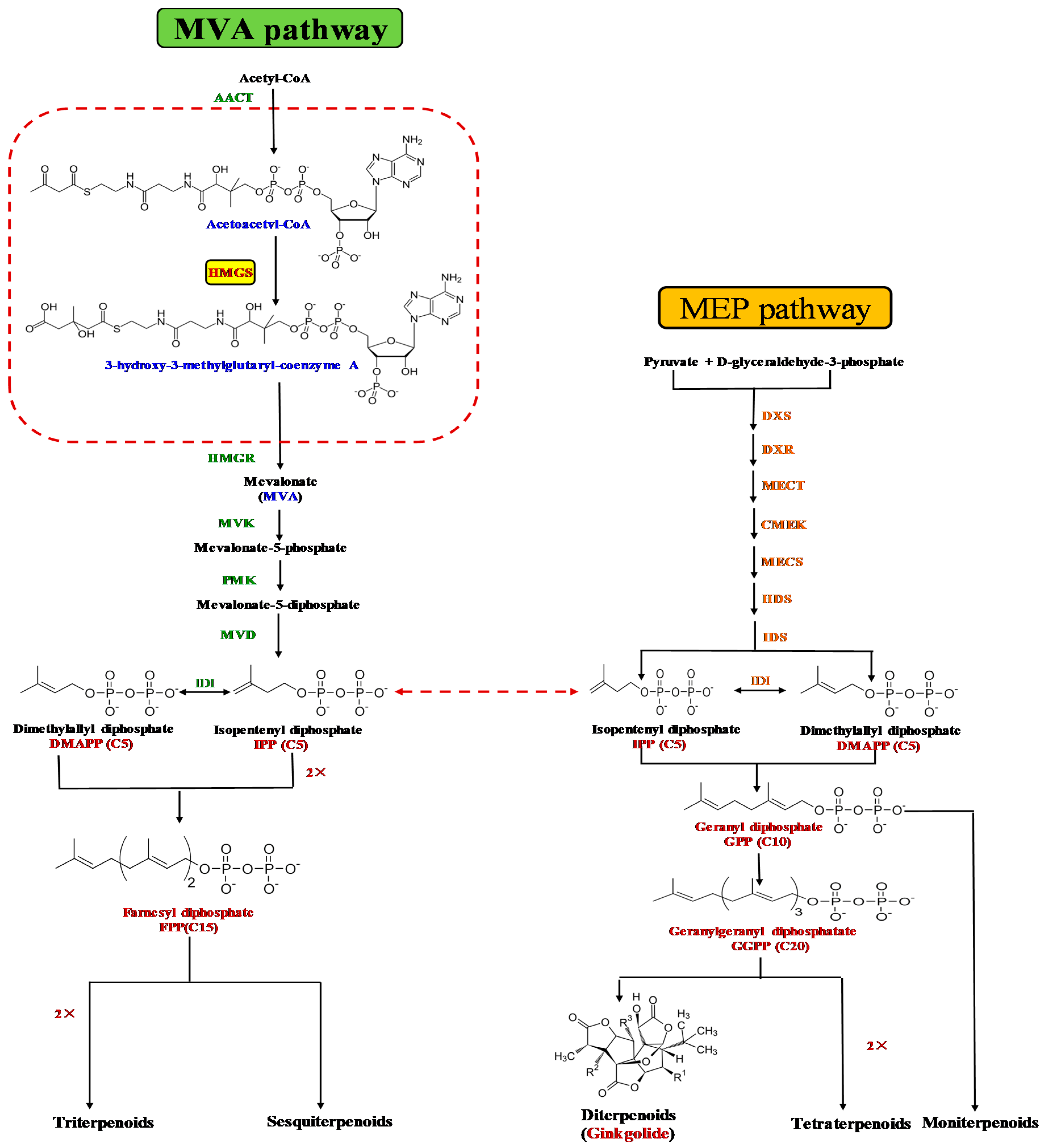 Molecules 22 01706 g001 Molecules 22 01706 g001