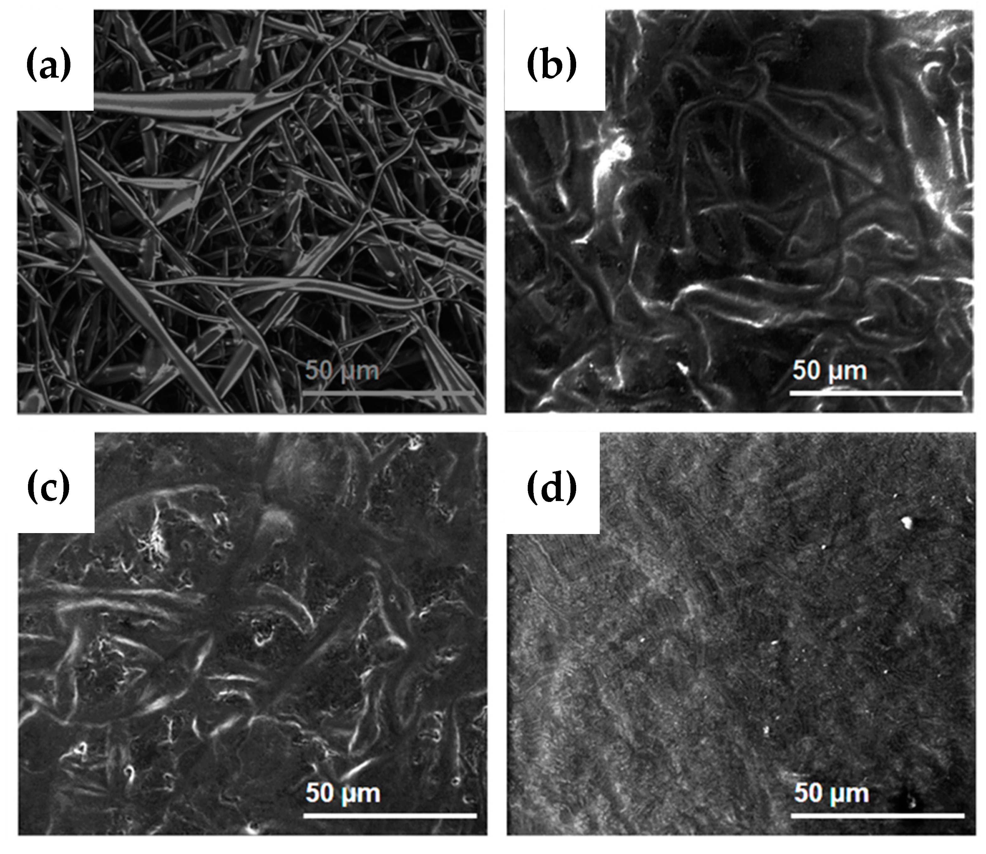 Molecules 22 01708 g007 Molecules 22 01708 g007