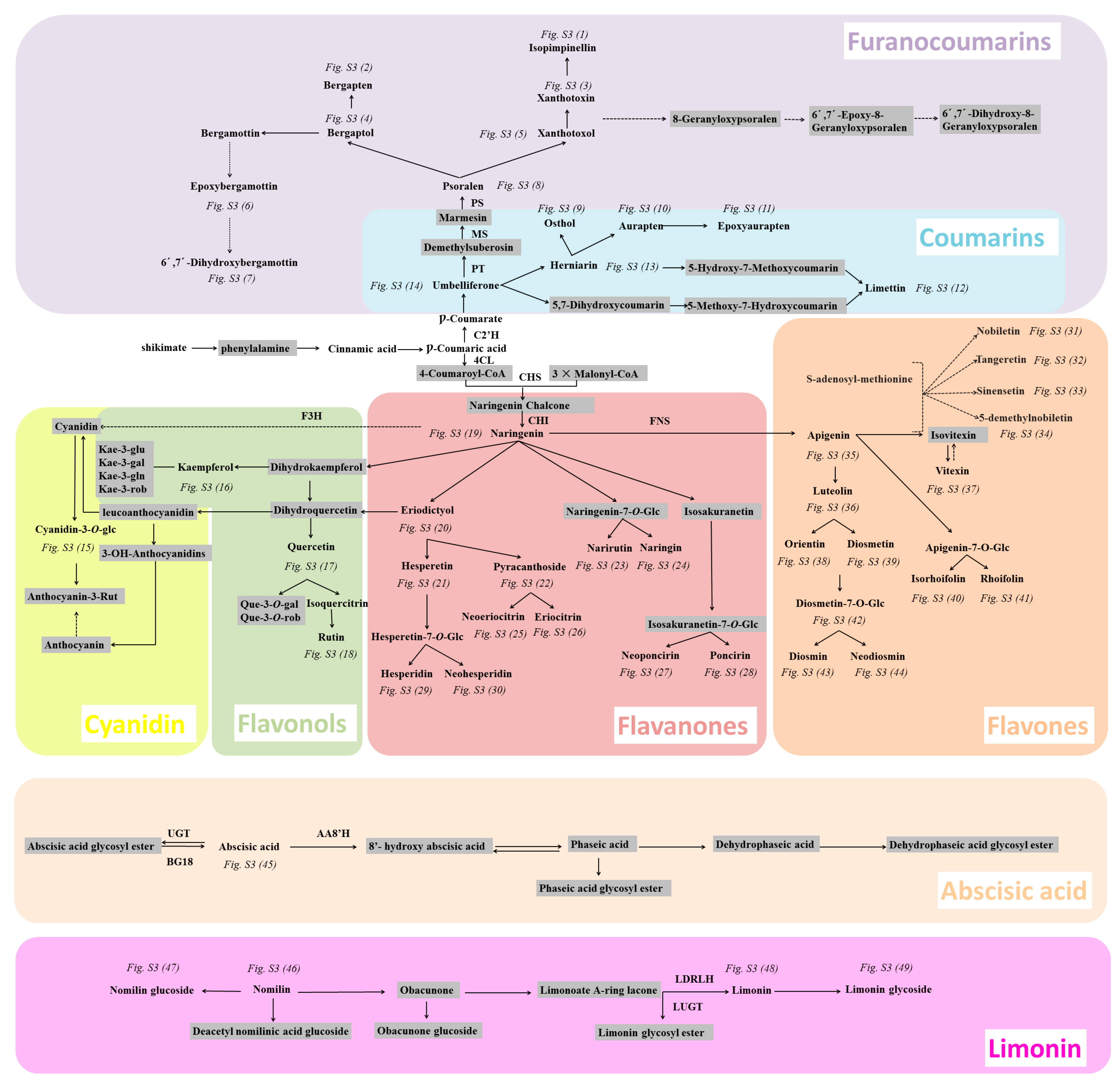 Molecules 22 01721 g007
