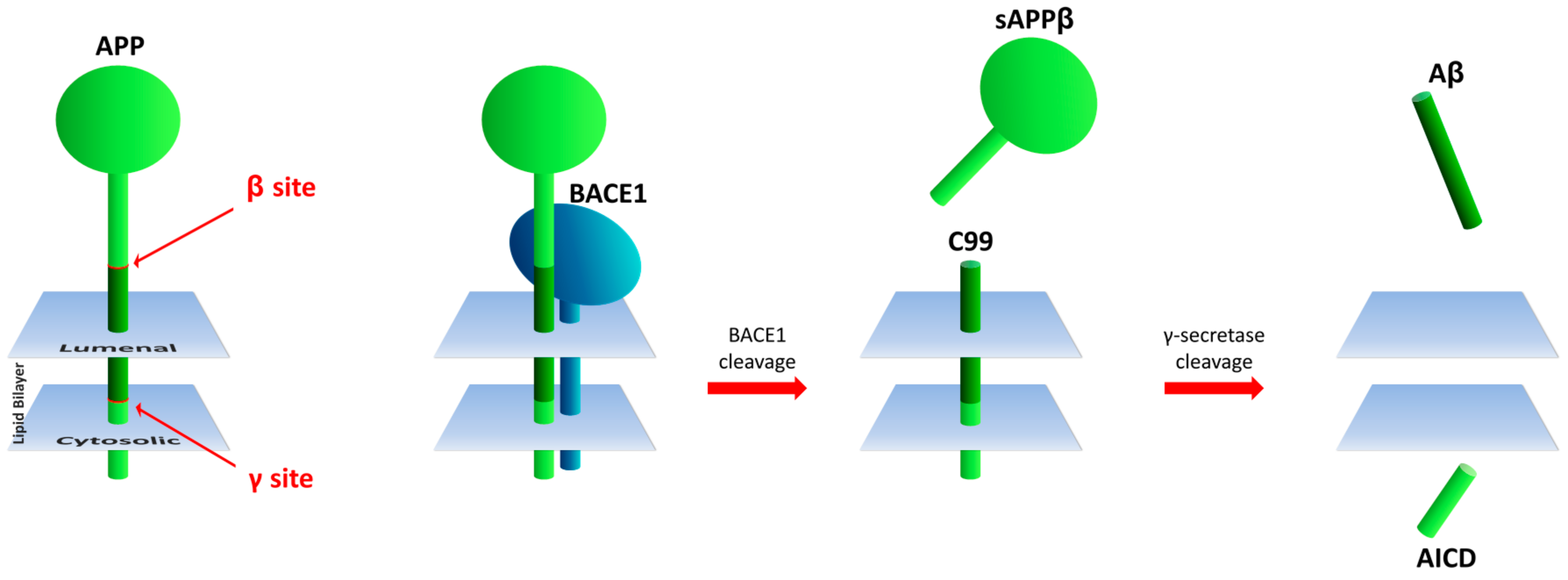 Molecules 22 01723 g001