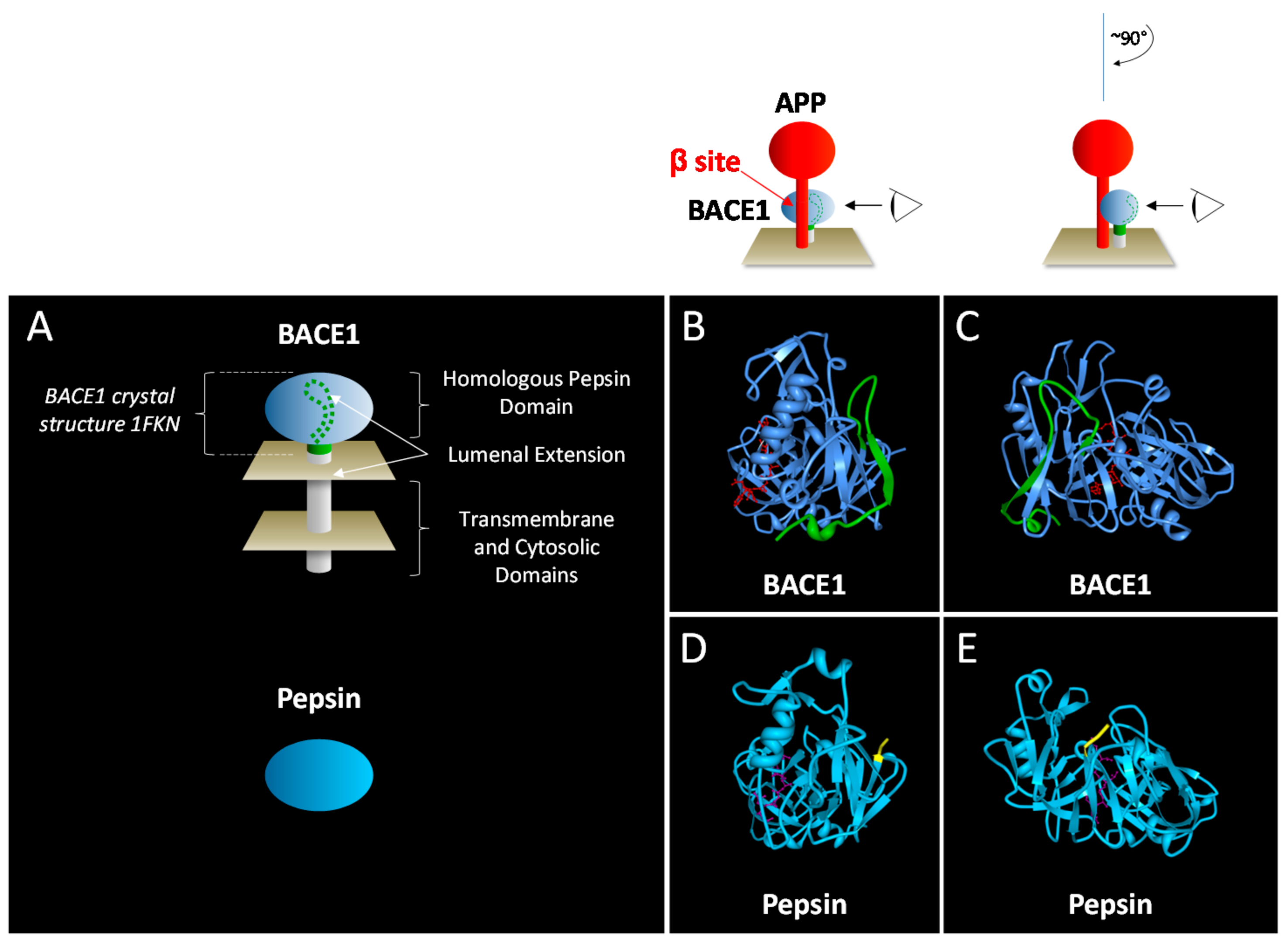 Molecules 22 01723 g002