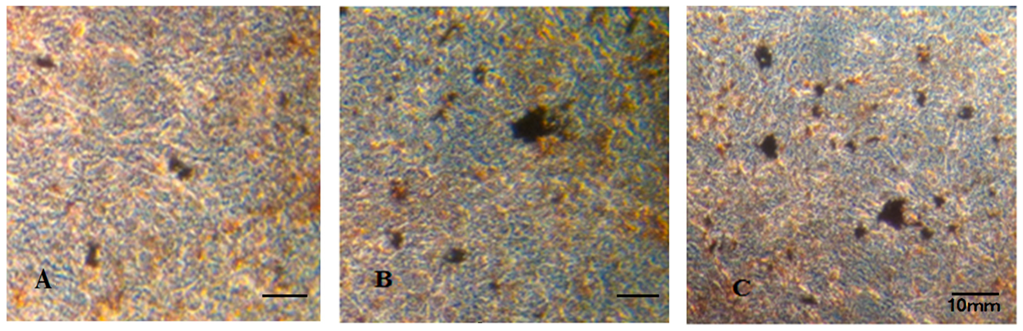 Molecules 22 01735 g005