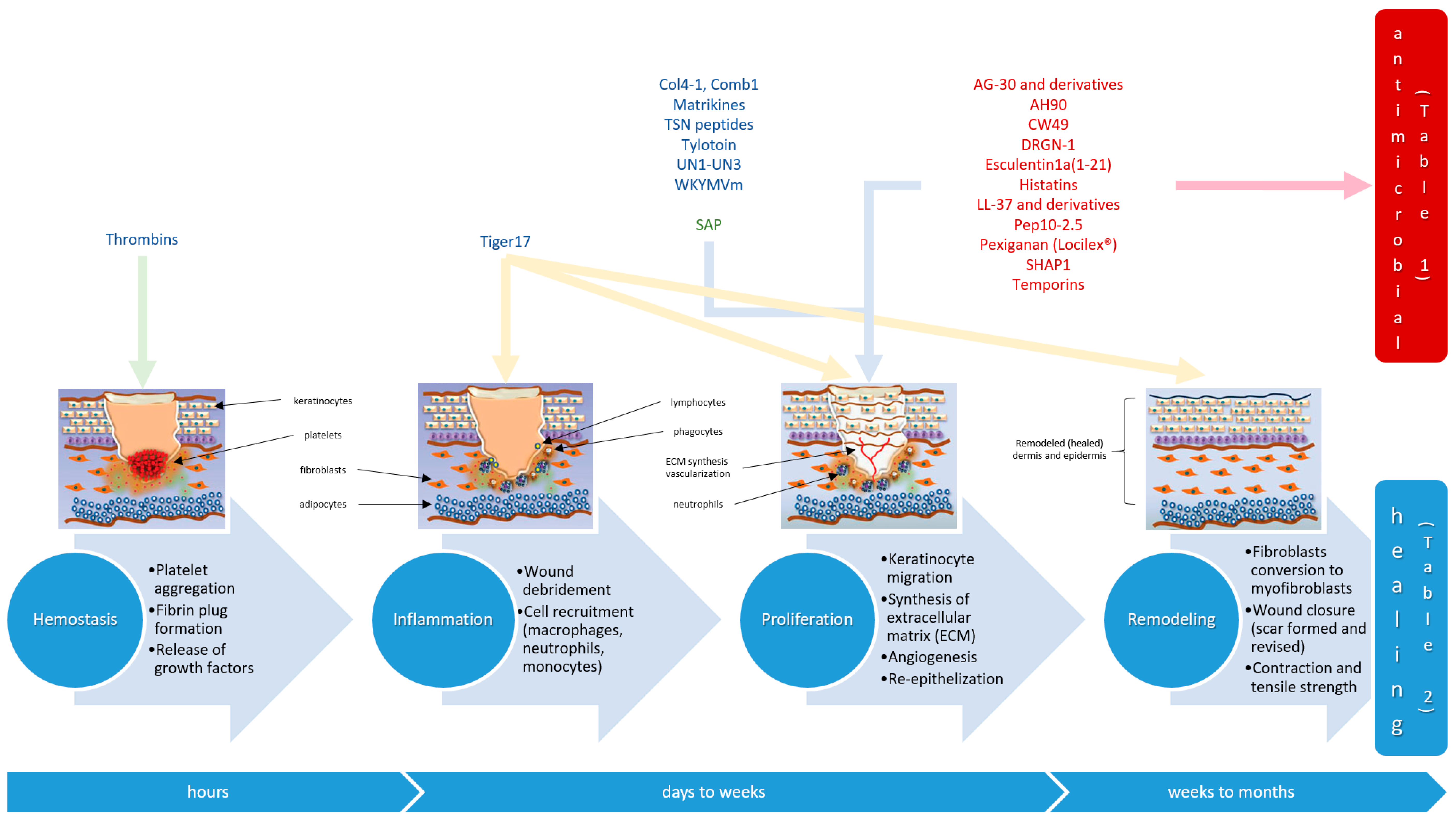 Molecules 22 01743 g001 Molecules 22 01743 g001