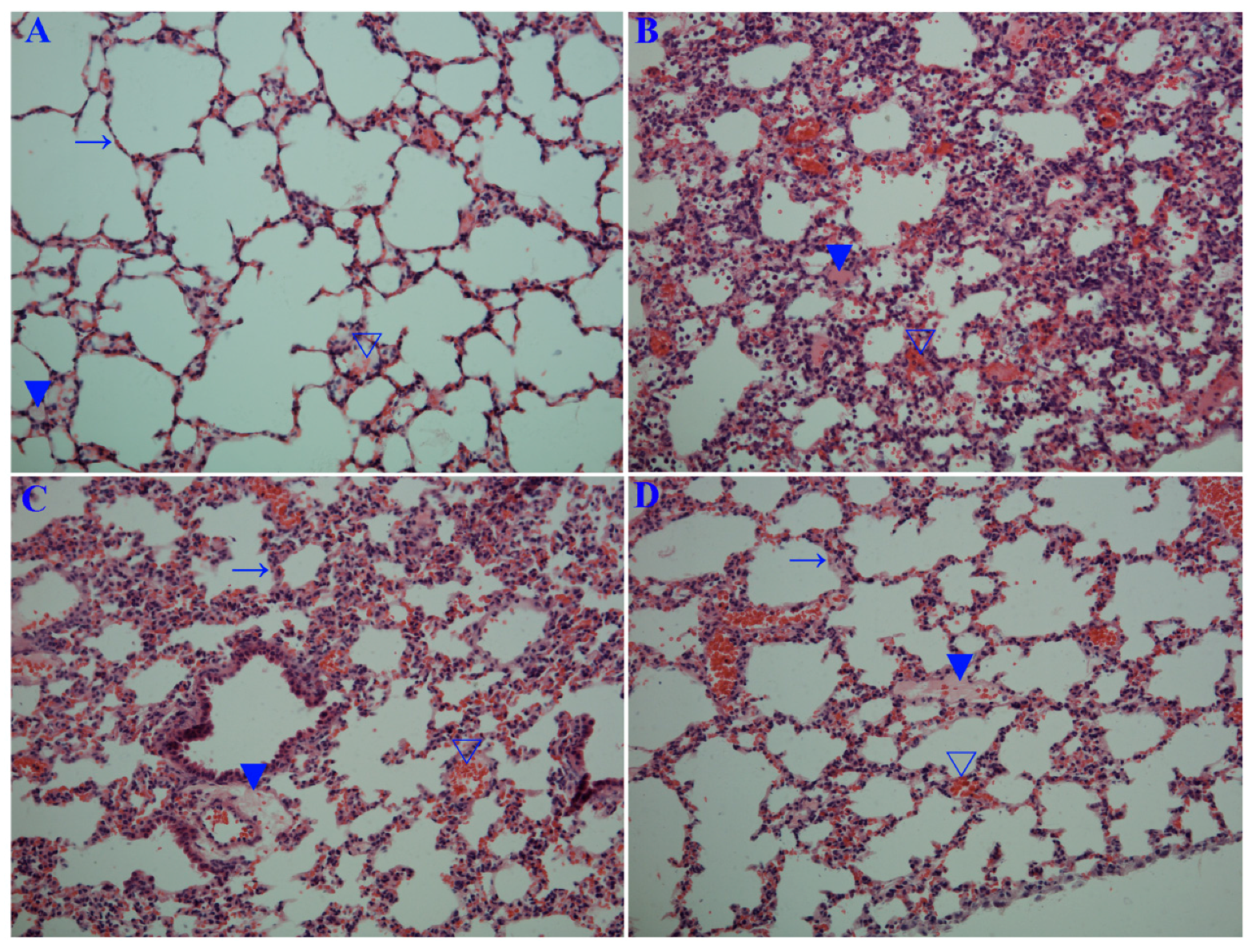 Molecules 22 01754 g007a Molecules 22 01754 g007a