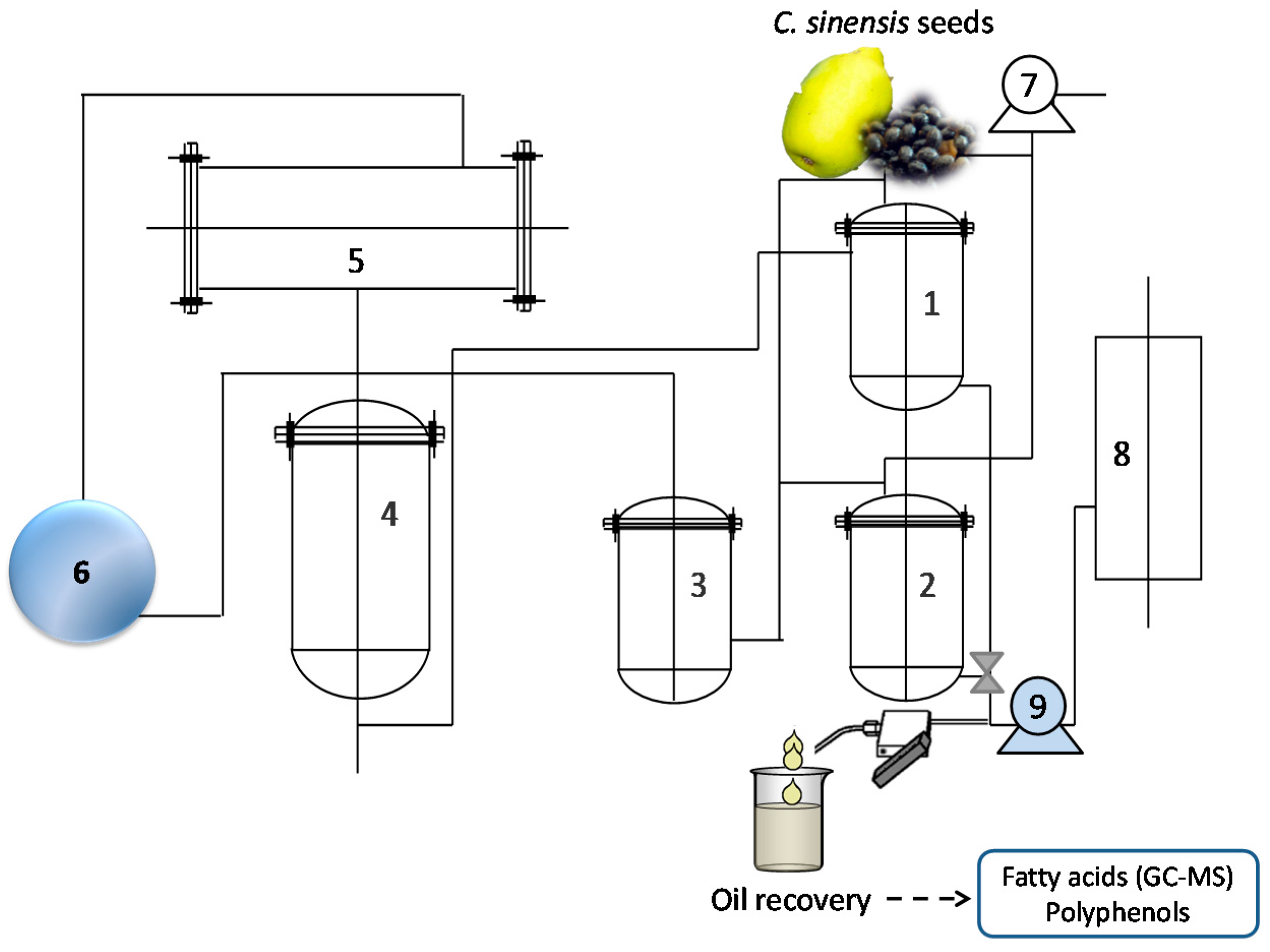 Molecules 22 01788 g004