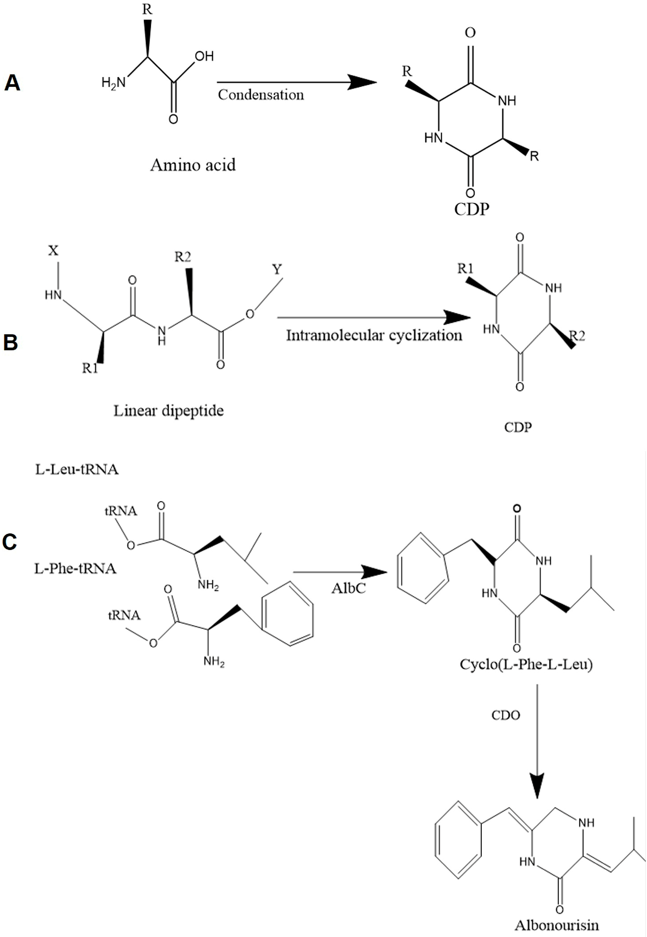 Molecules 22 01796 g001