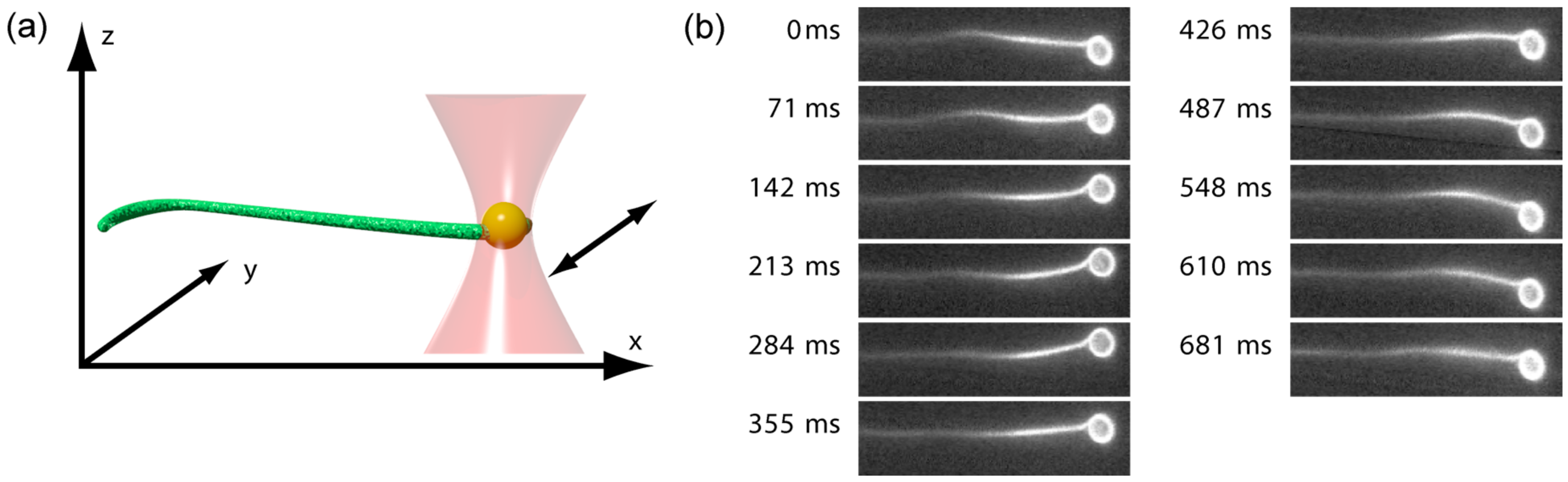 Molecules 22 01804 g001