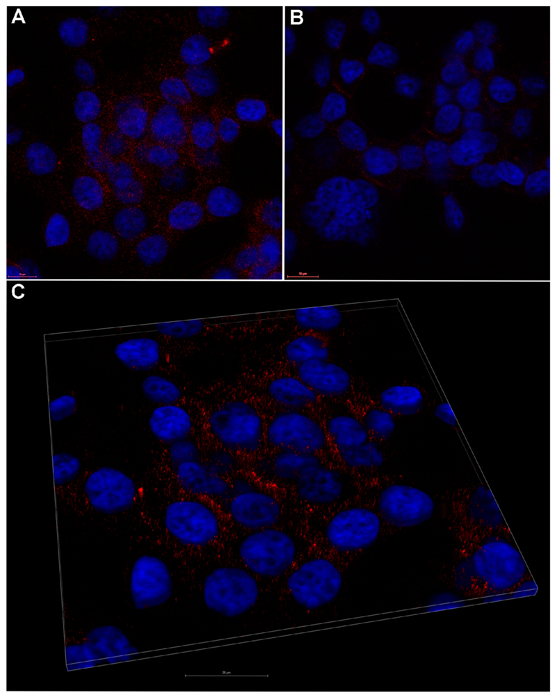 Molecules 22 01815 g006