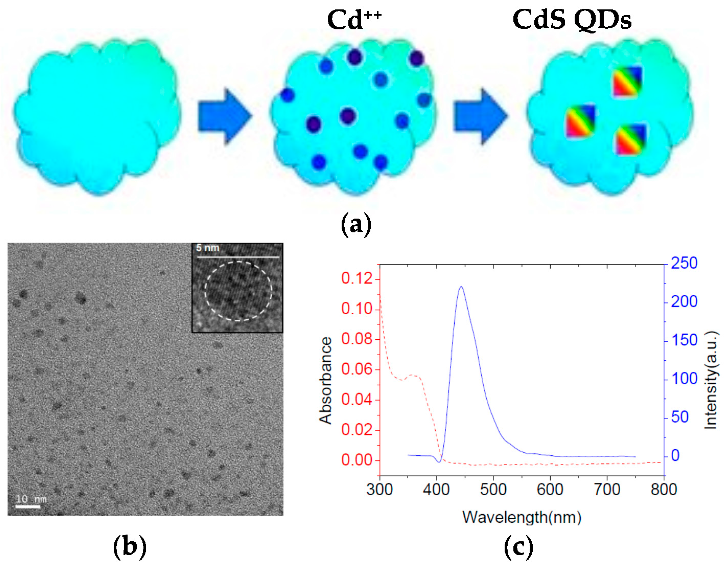 Molecules 22 01819 g006