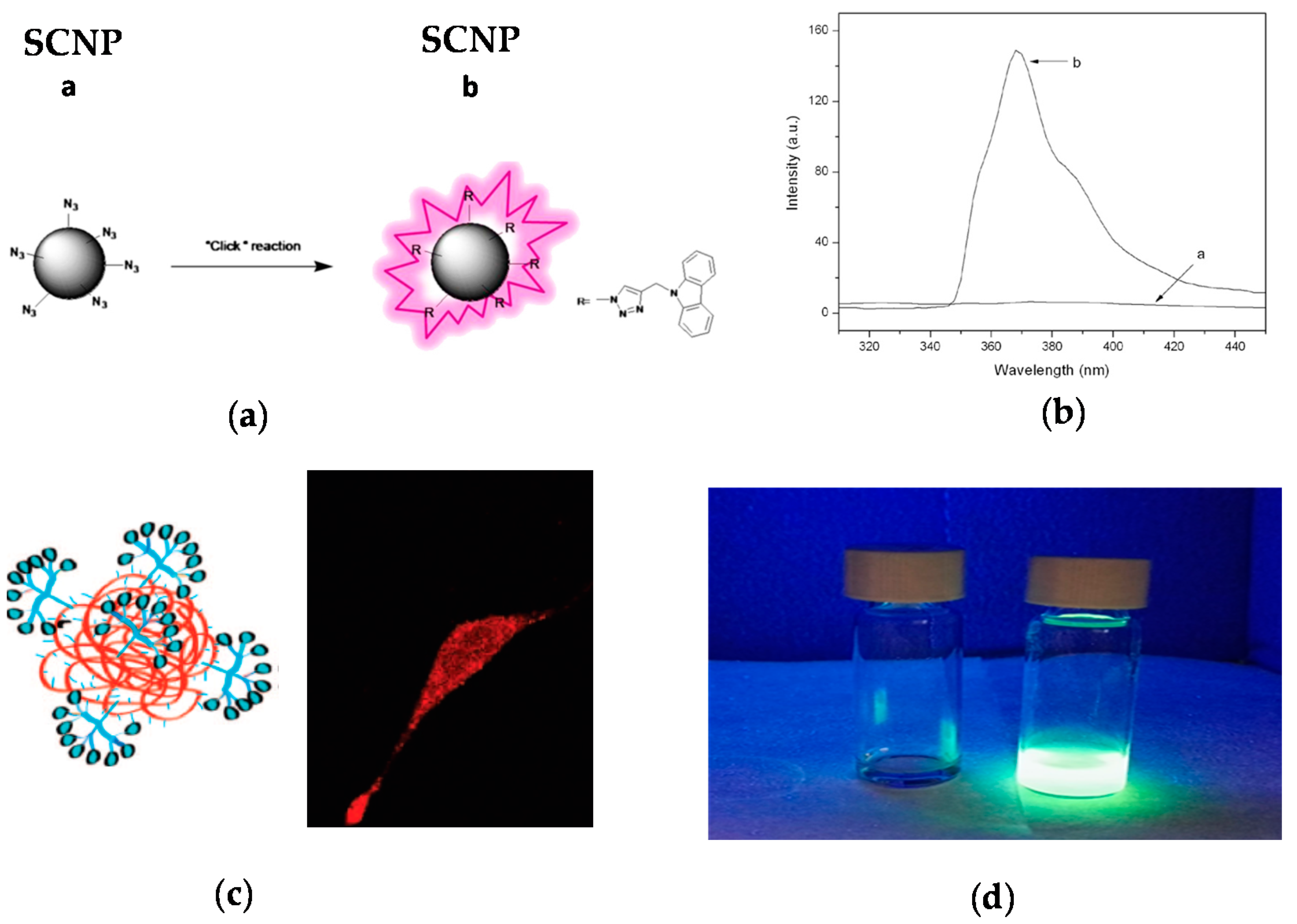 Molecules 22 01819 g007