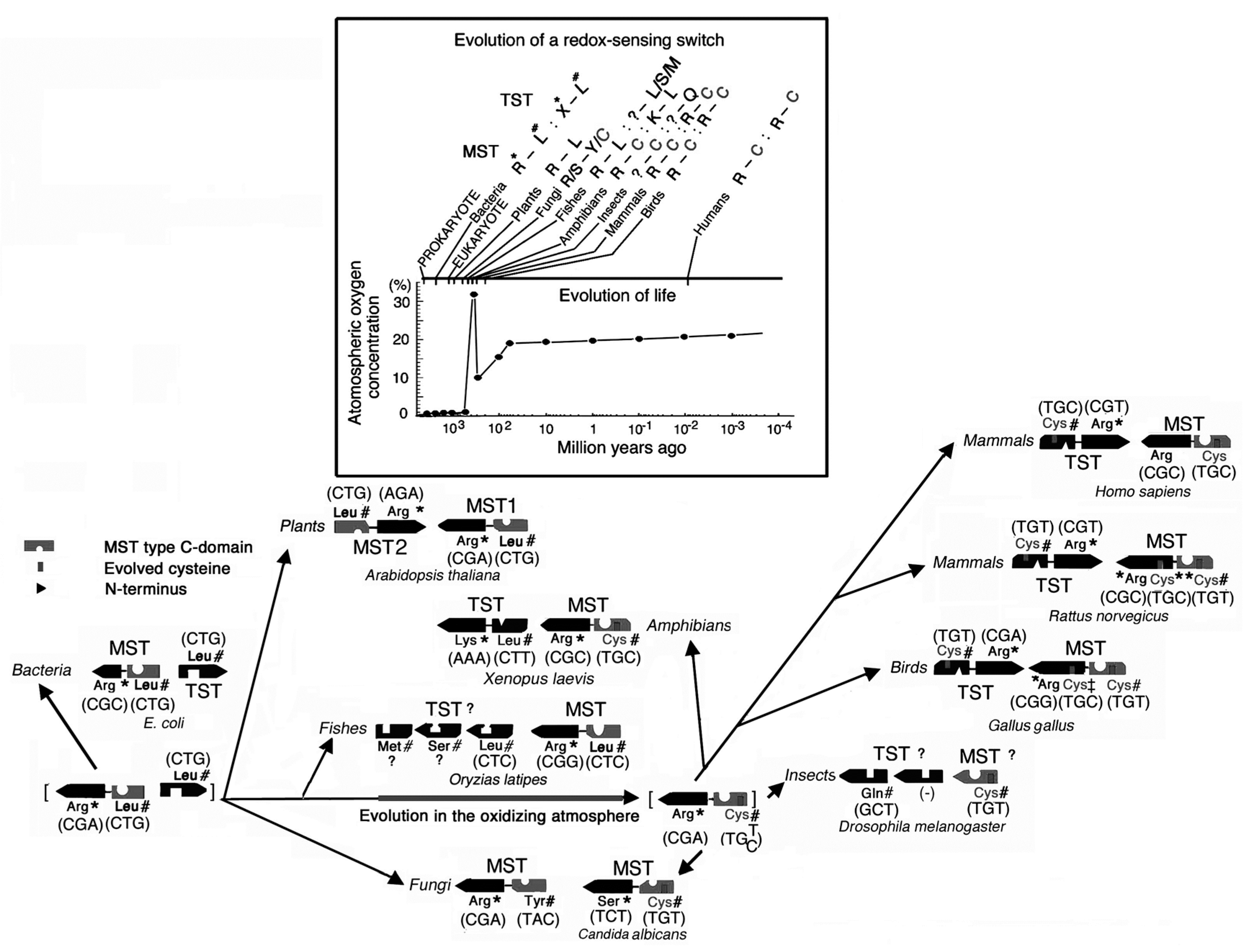 Molecules 22 01821 g001