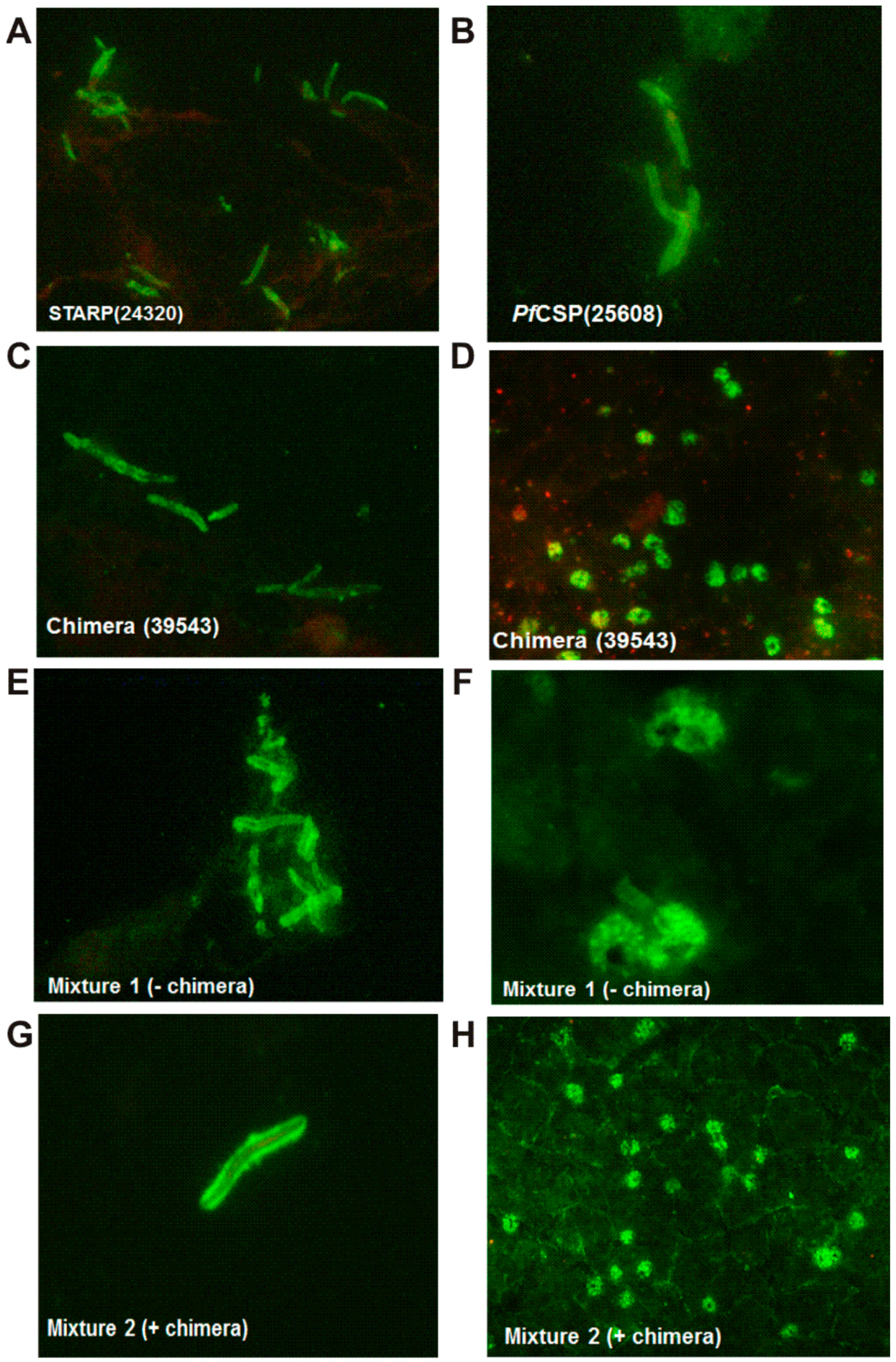 Molecules 22 01837 g003