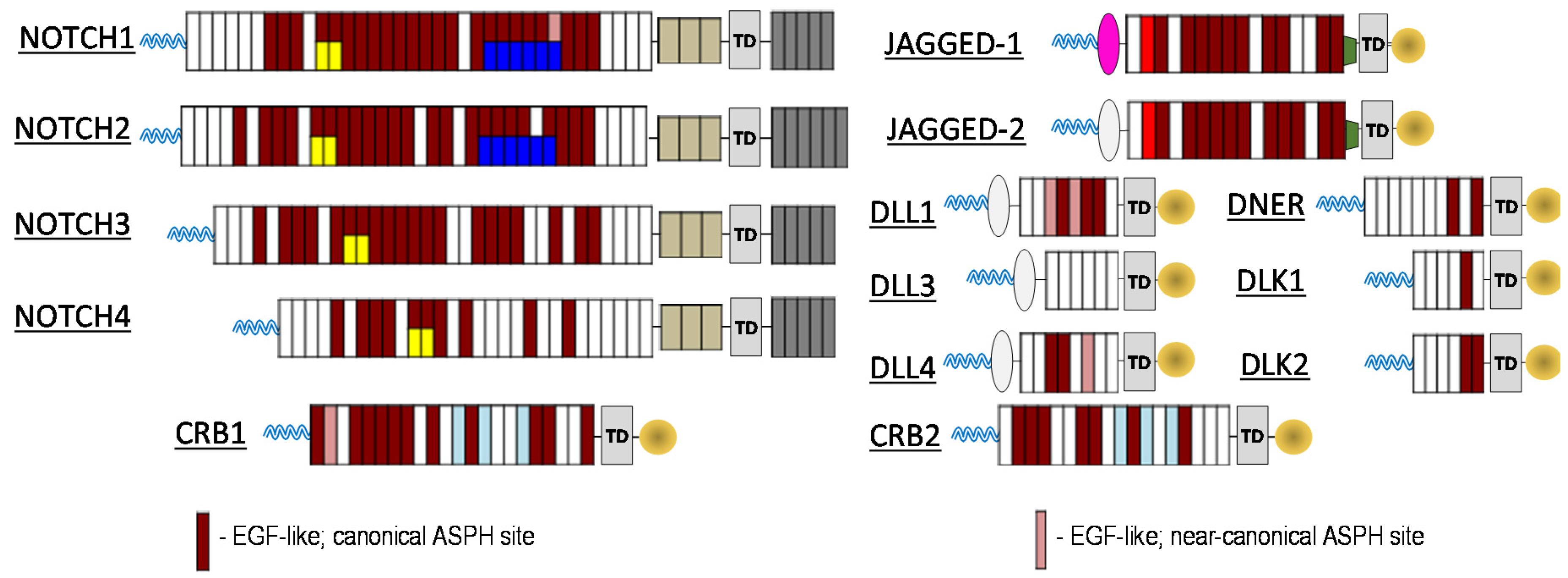 Molecules 22 01848 g001