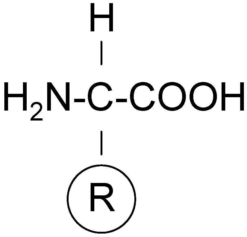 Molecules 22 01848 g007