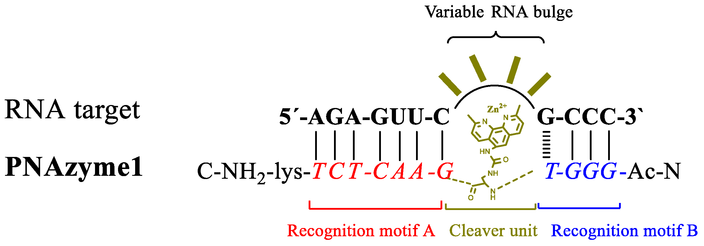 Molecules 22 01856 g001