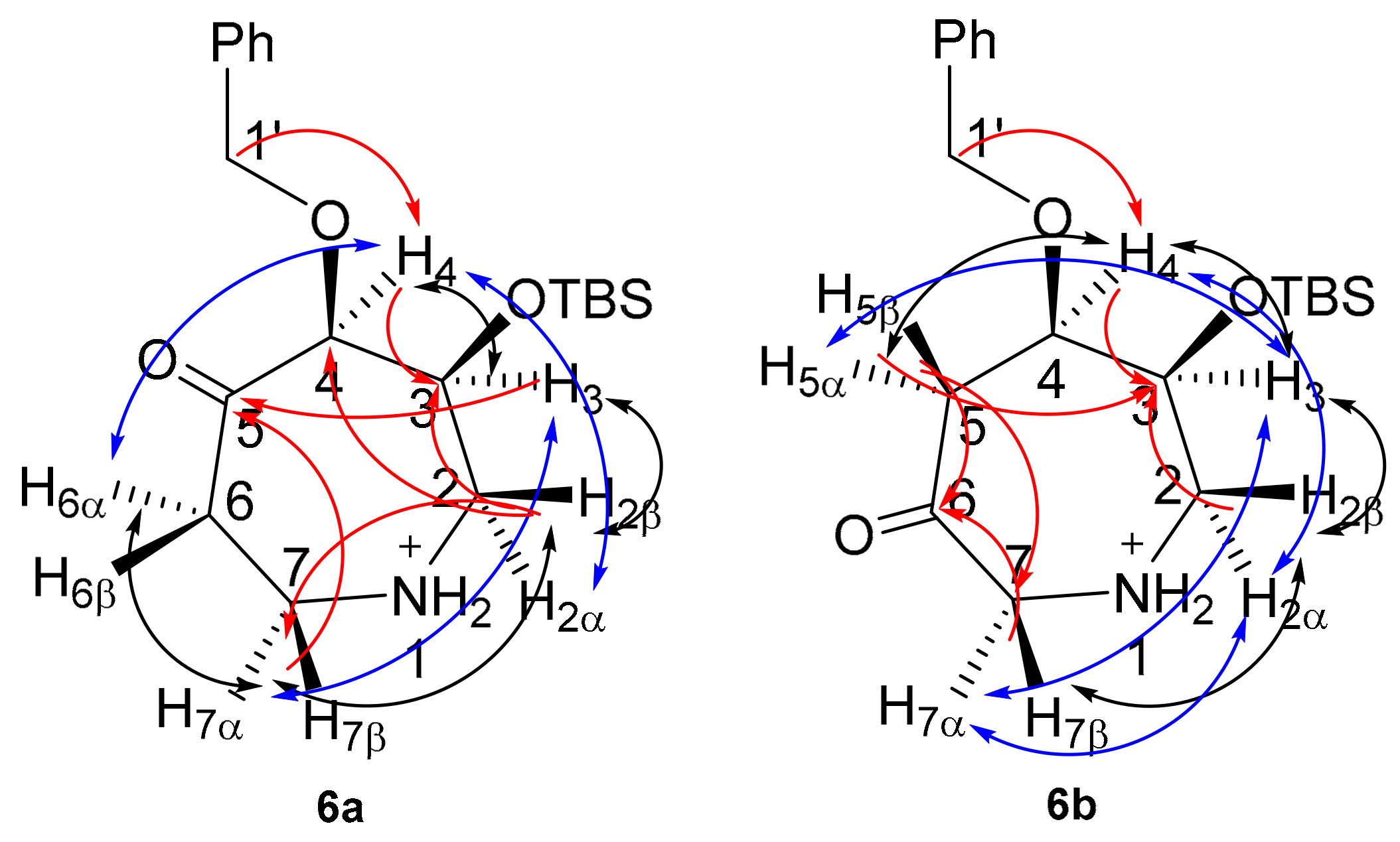 Molecules 22 01871 g004