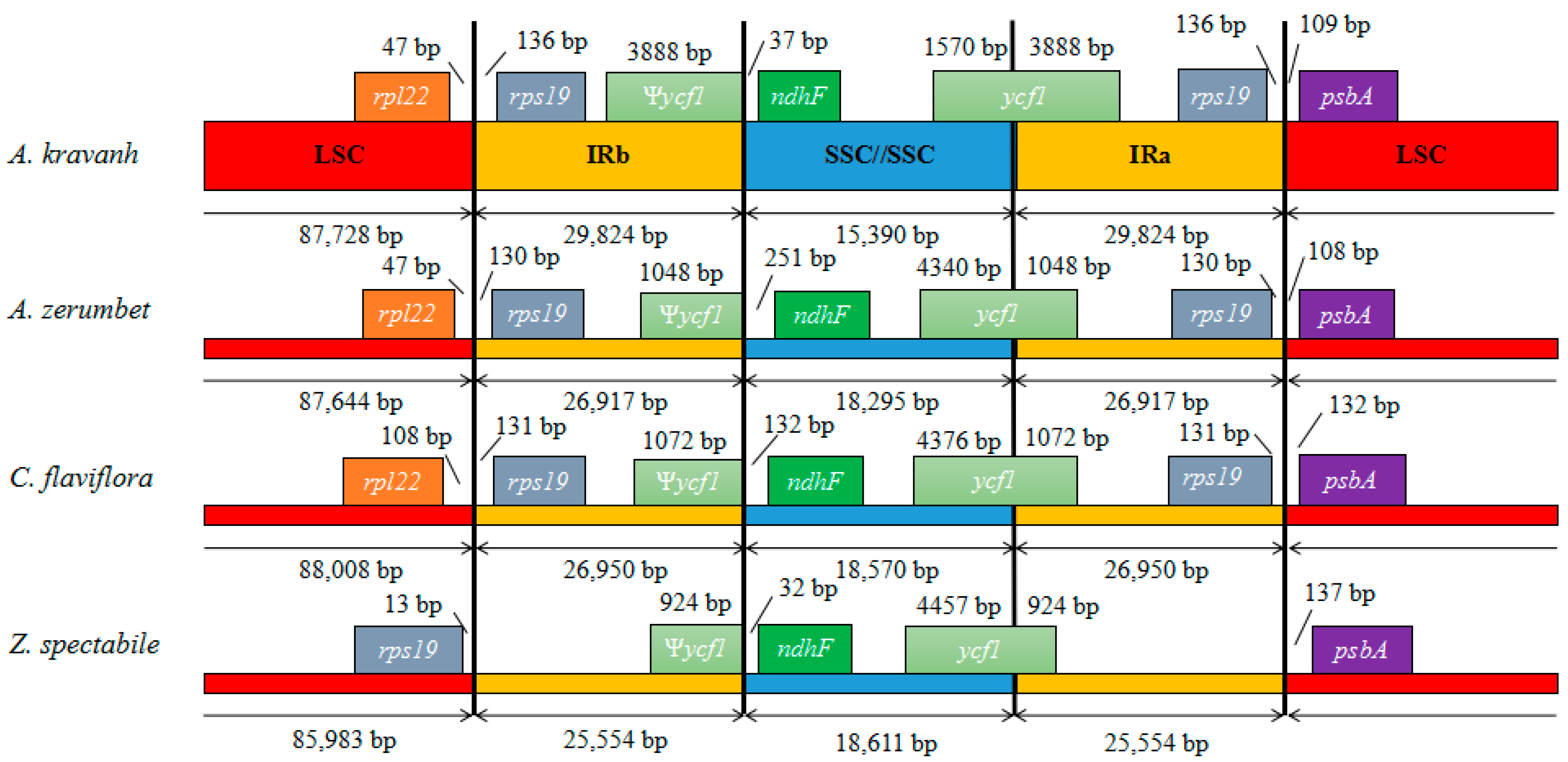 Molecules 22 01875 g004