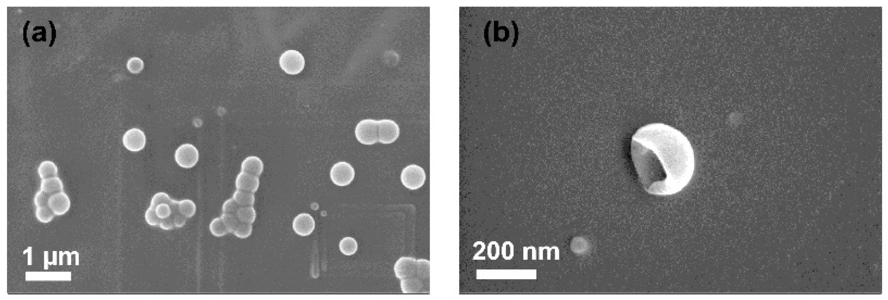 Molecules 22 01892 g007