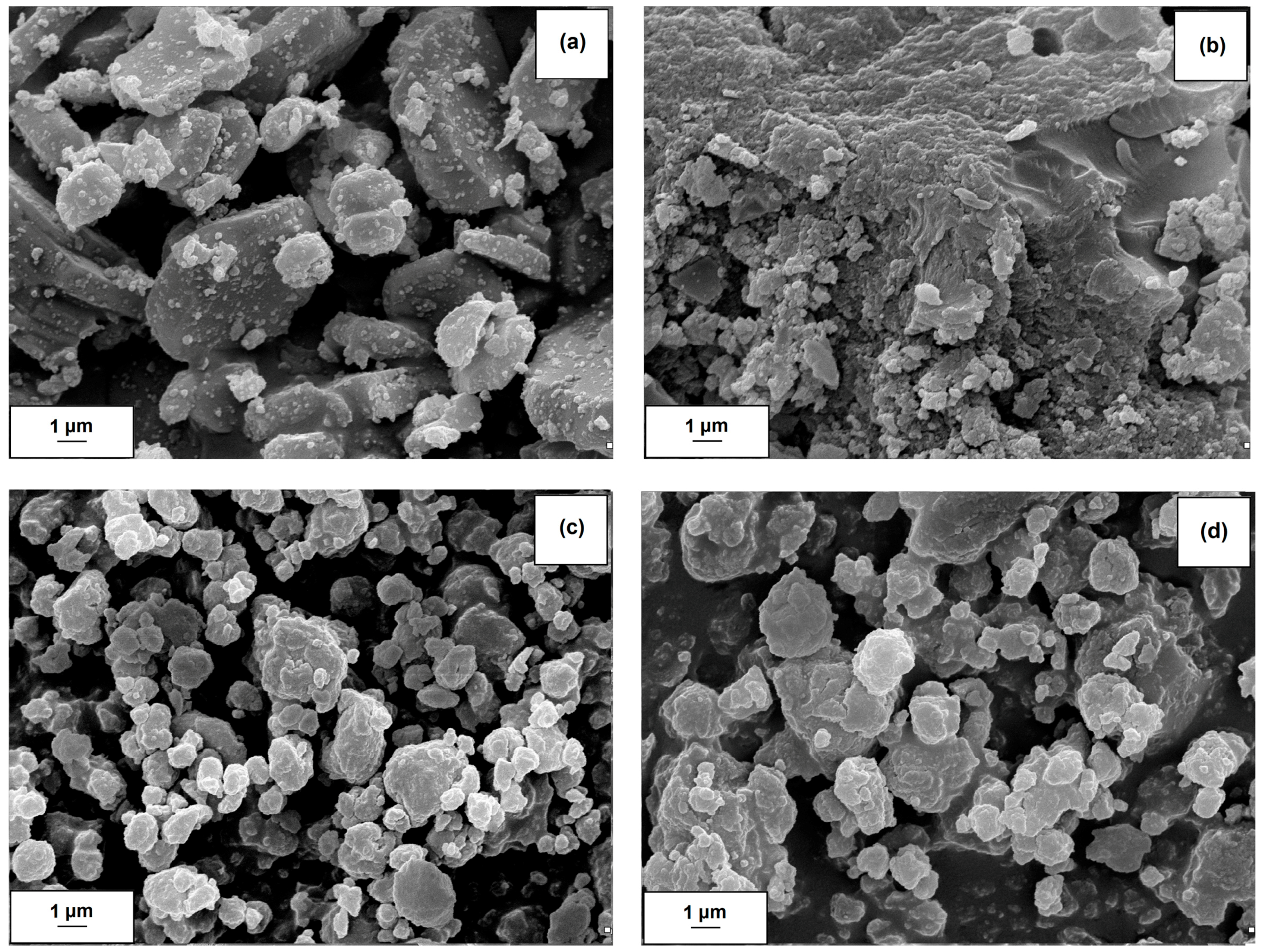 Molecules 22 01920 g001