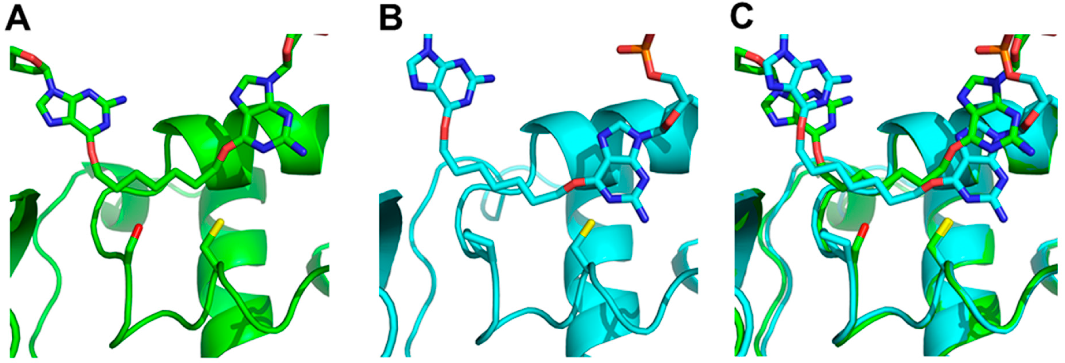 Molecules 22 01948 g004 Molecules 22 01948 g004