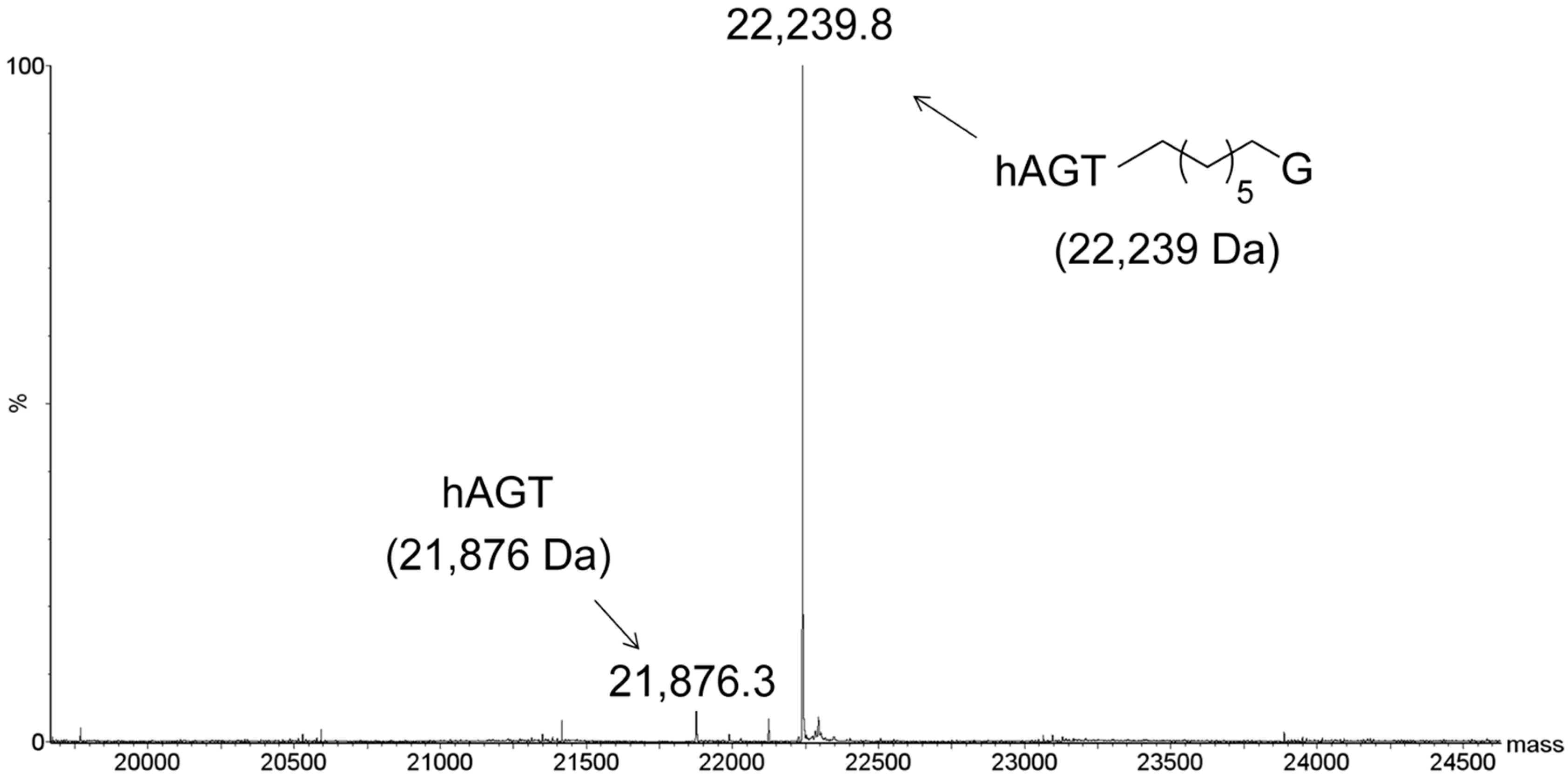 Molecules 22 01948 g006 Molecules 22 01948 g006