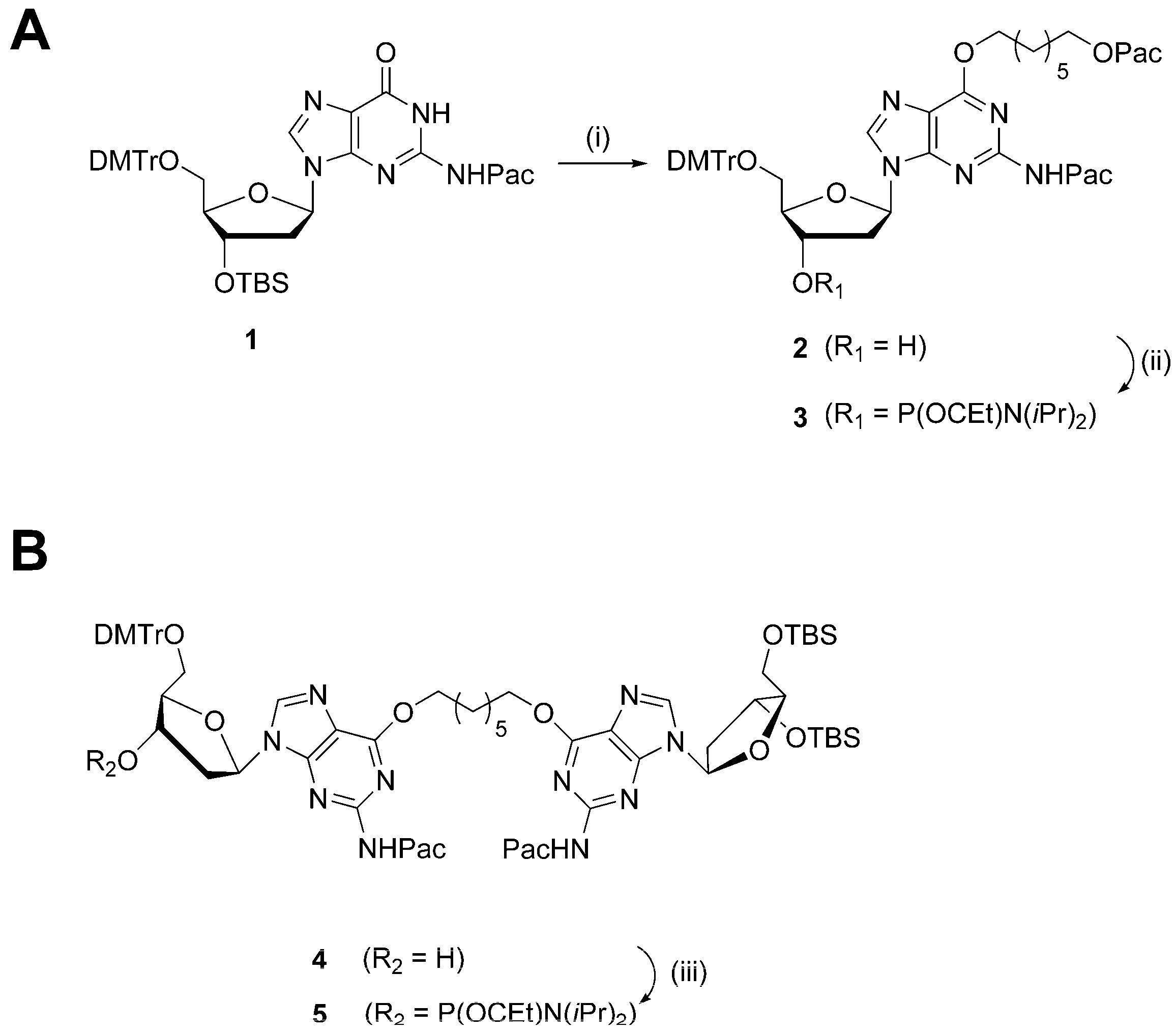 Molecules 22 01948 sch001 Molecules 22 01948 sch001