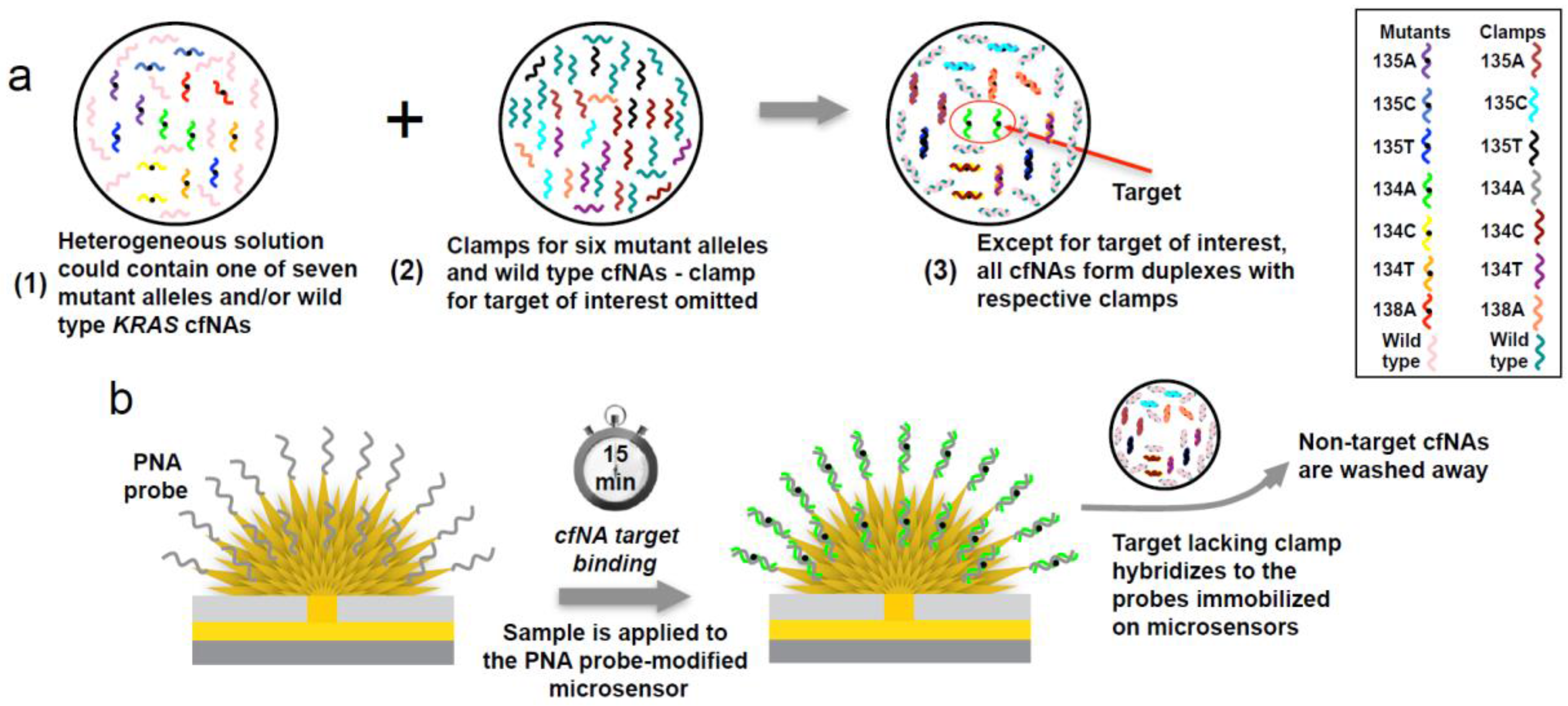 Molecules 22 01951 g002