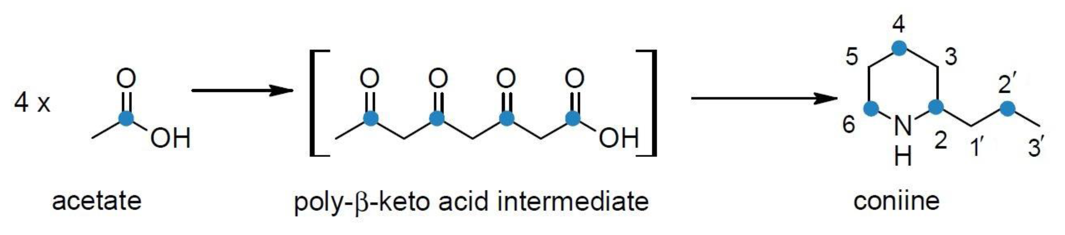 Molecules 22 01962 g005