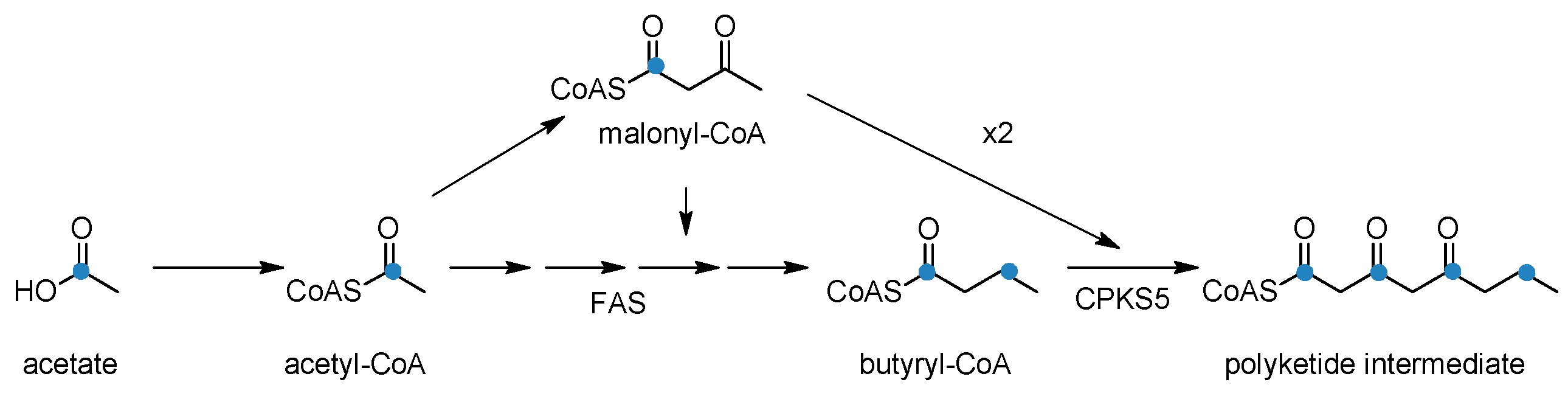 Molecules 22 01962 g006